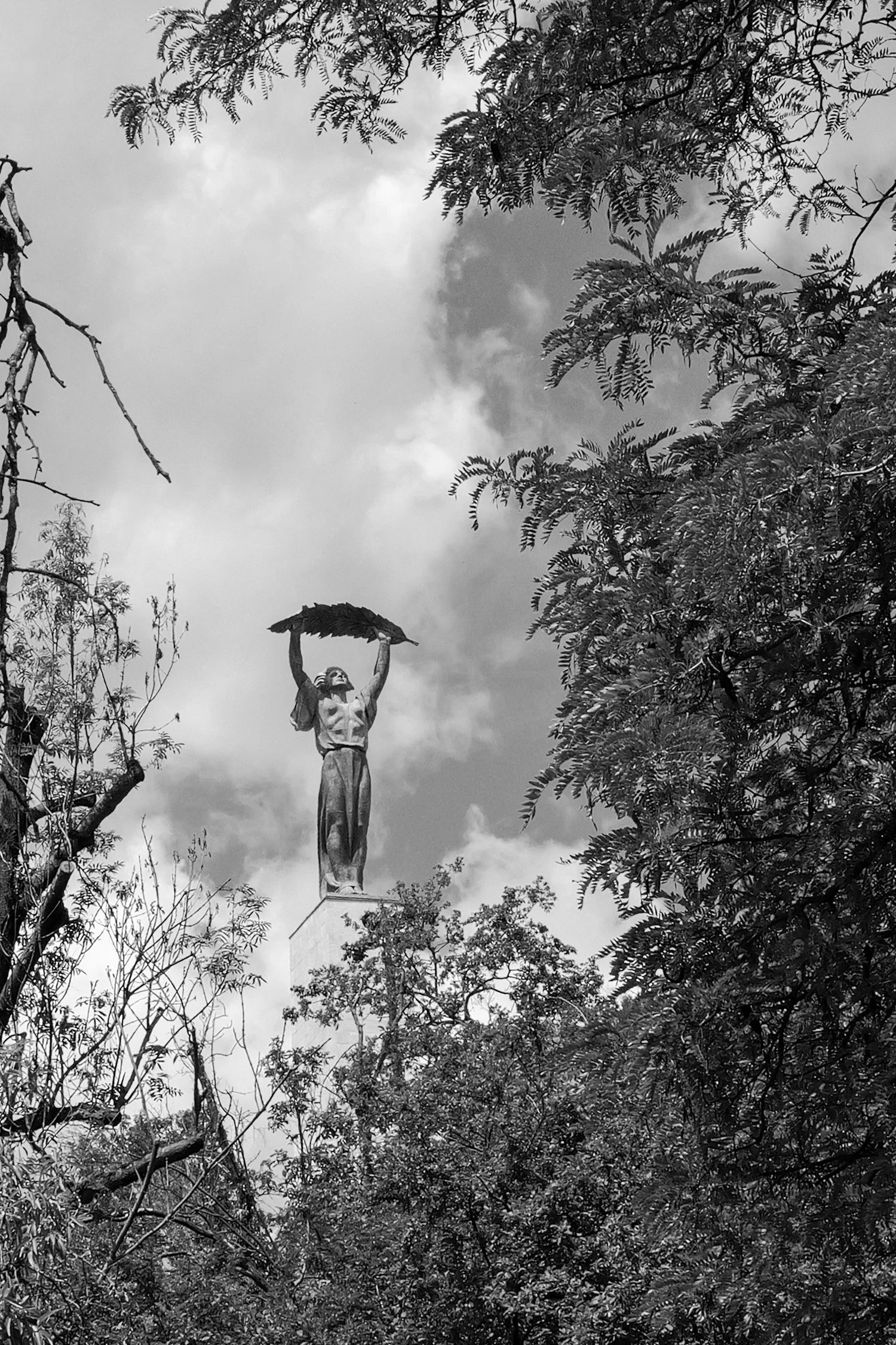 Une statue de femme portant un chapeau en forme de feuille, entourée d'arbres et de branches feuillues, avec un ciel nuageux en arrière-plan.