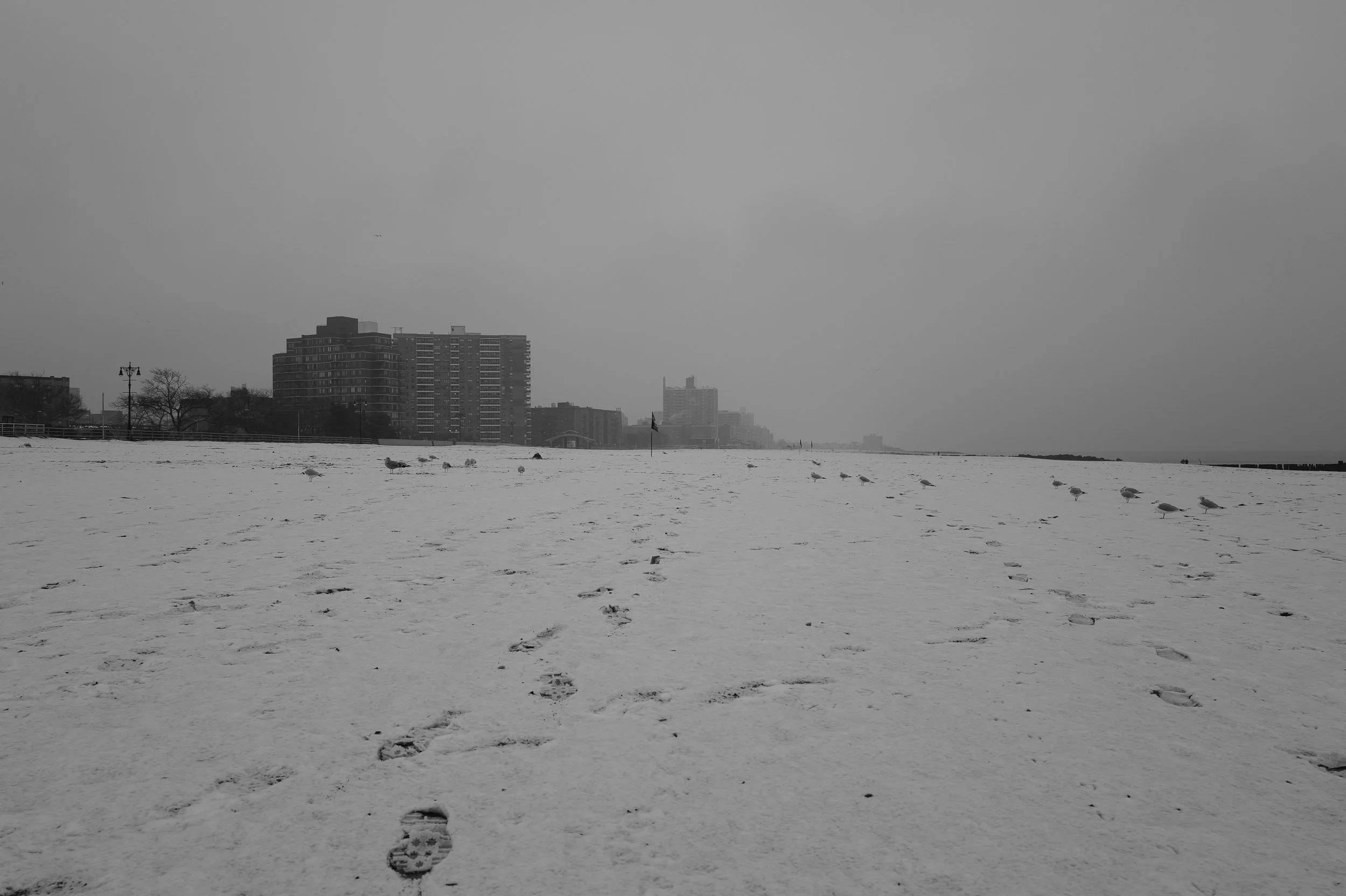 Plage enneigée avec des empreintes de pas de oiseaux et de personnes, bâtiments résidentiels visibles à l'horizon, ciel nuageux et brouillé.