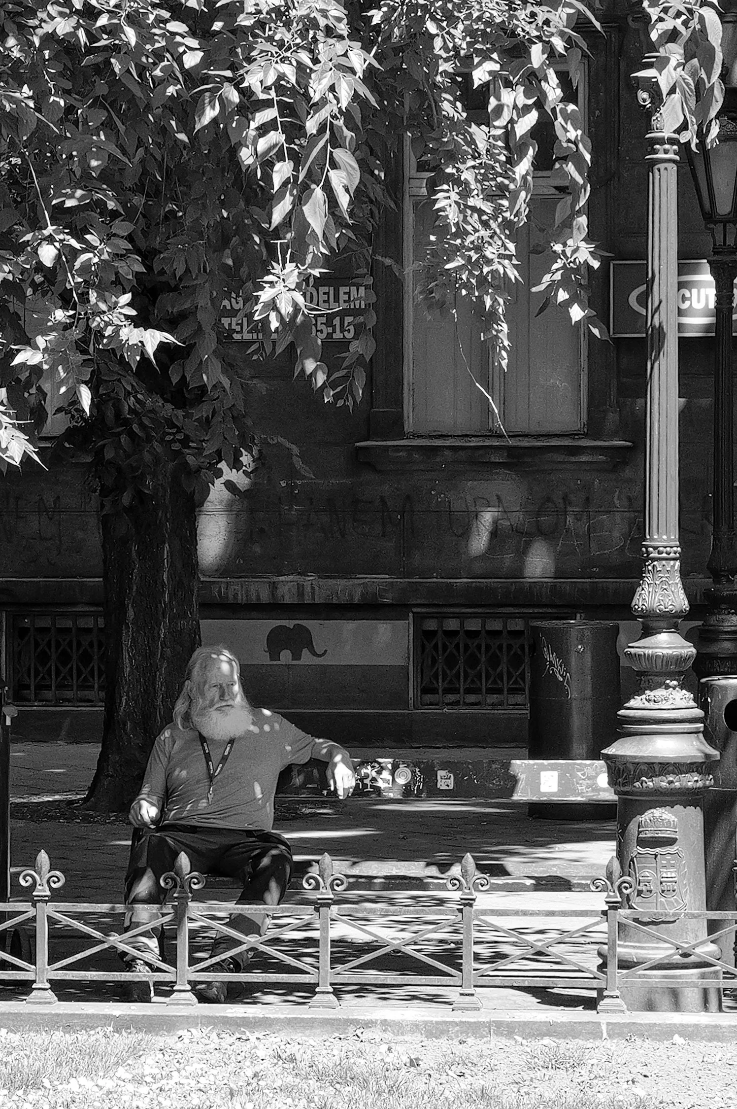 Un homme avec une barbe et des cheveux longs assis sur un banc dans un parc, sous un arbre, avec un bâtiment en arrière-plan, autour d'une barrière en métal. La scène est en noir et blanc.