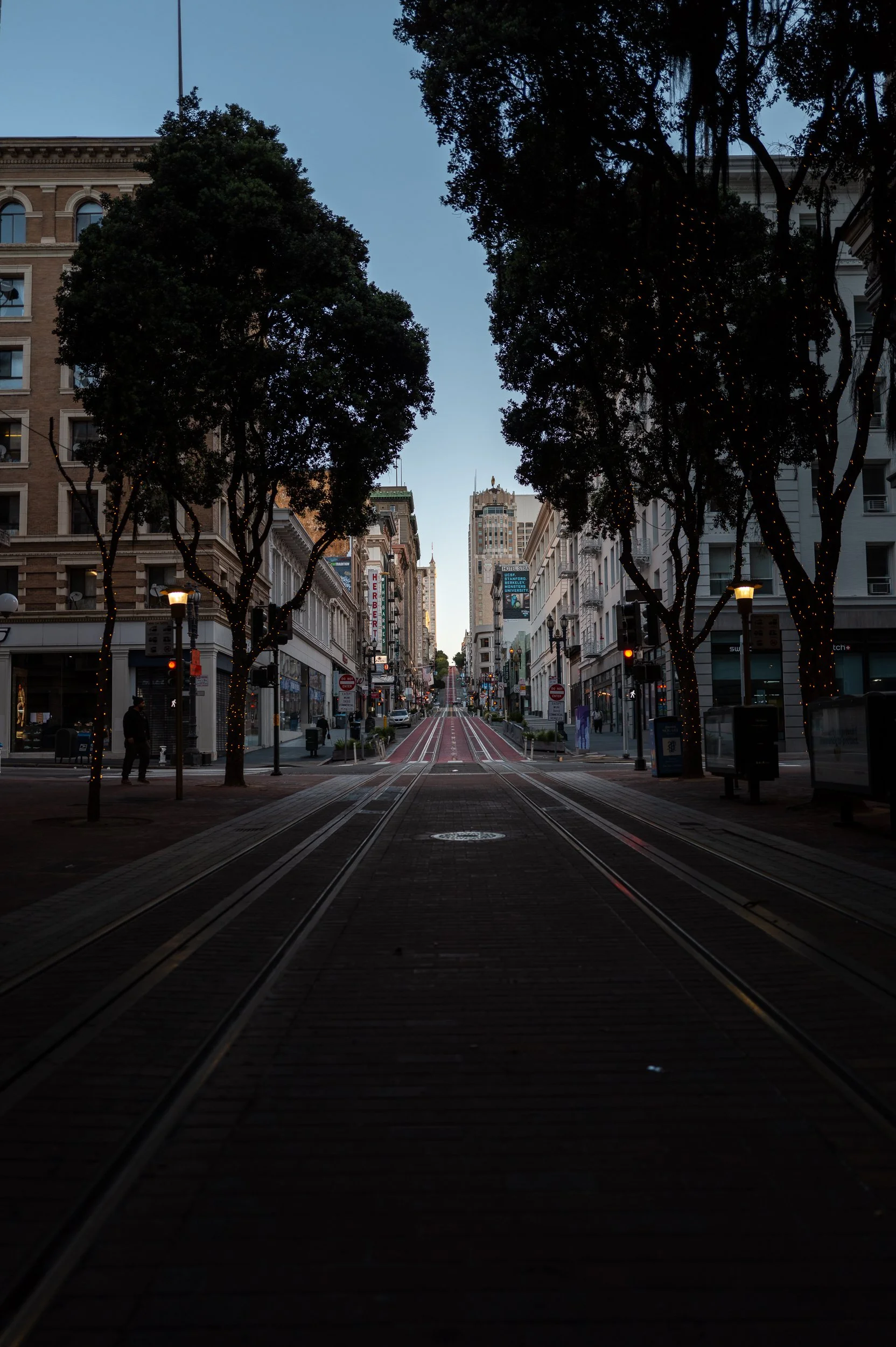 Une rue urbaine vide en fin de journée, bordée d'arbres décorés de guirlandes lumineuses, avec des bâtiments anciens et modernes, et des tramways électriques.