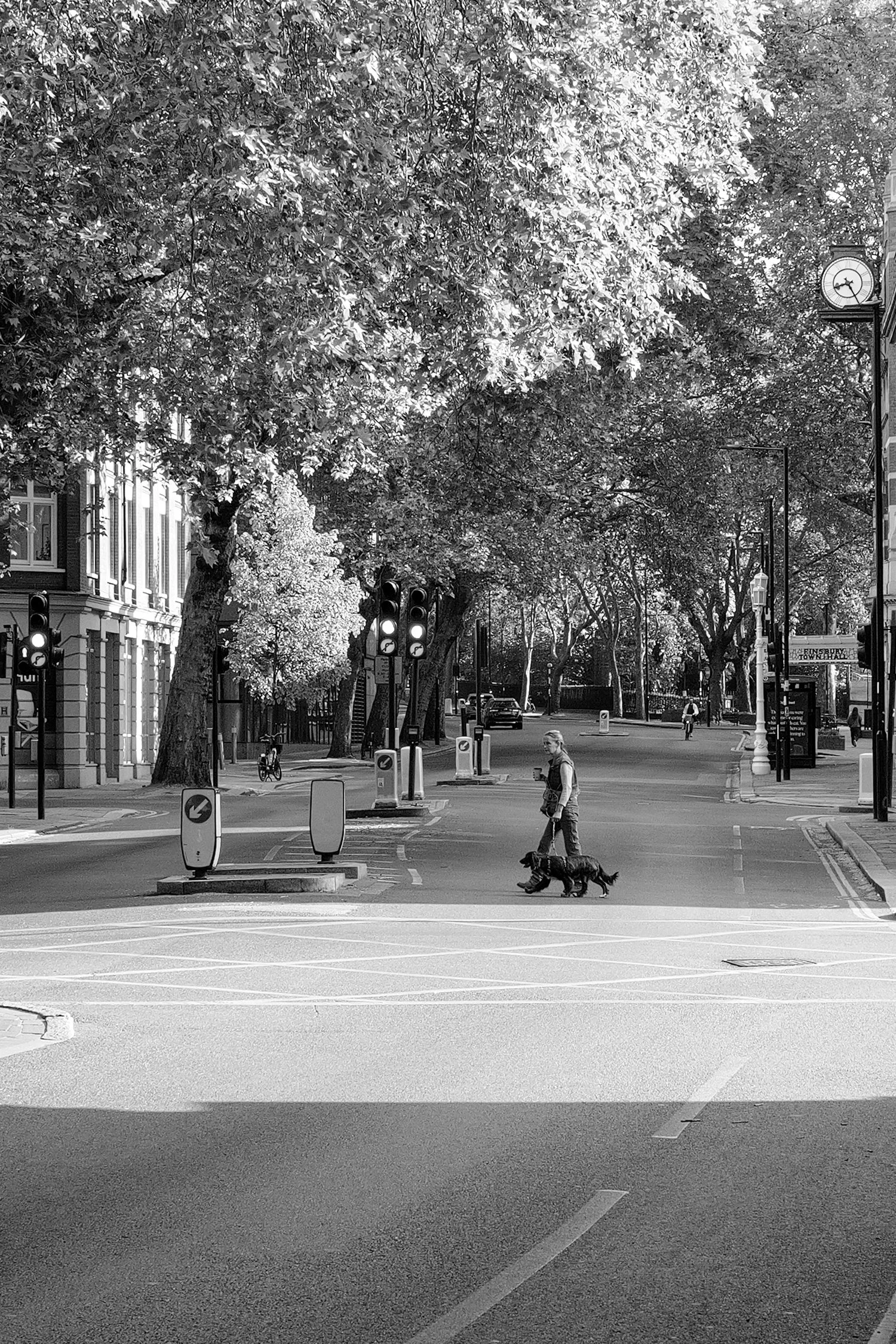Une rue urbaine avec des arbres donnant de l'ombre, des feux de circulation, une personne marchant avec un chien, plusieurs véhicules stationnés, et des bâtiments en arrière-plan.