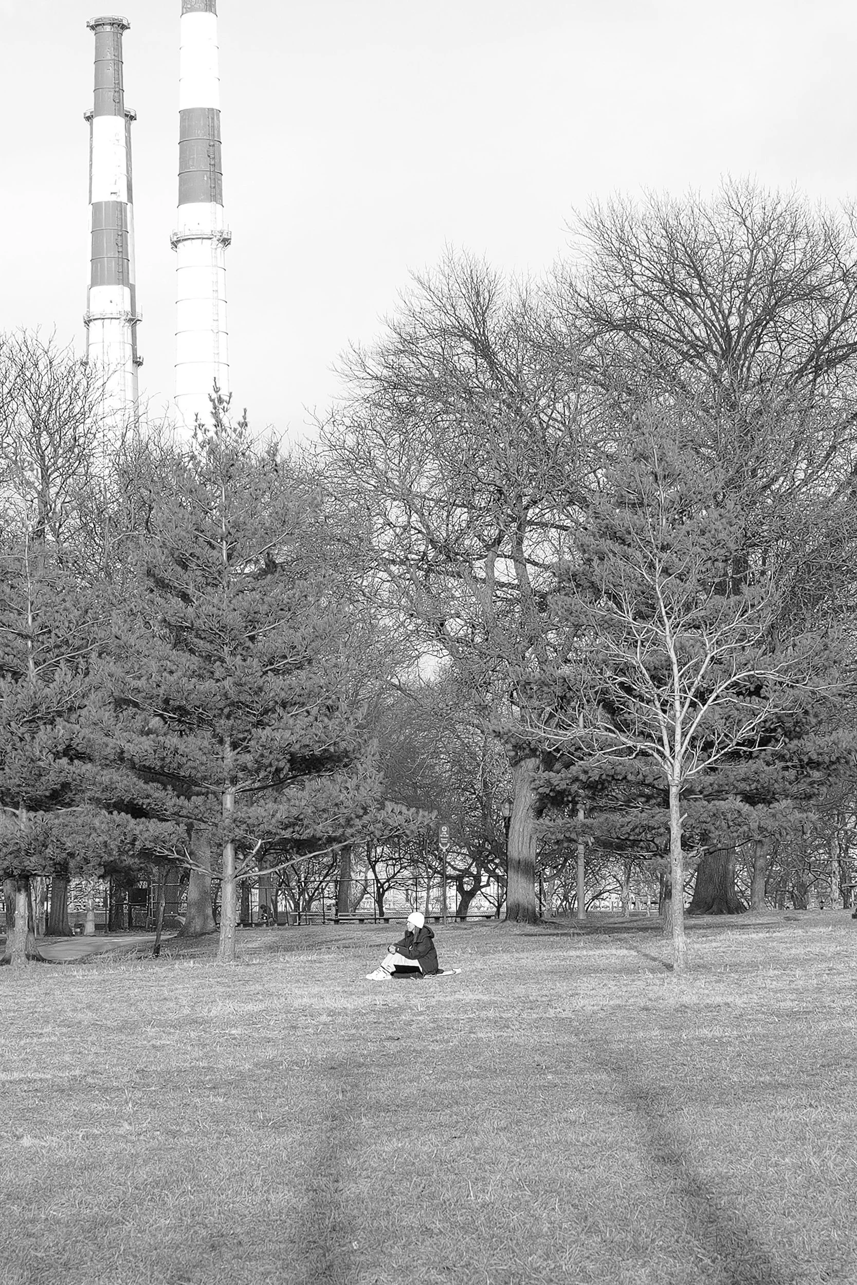 Un parc avec plusieurs arbres sans feuilles, une personne assise par terre lisant un livre, en arrière-plan des cheminées industrielles.