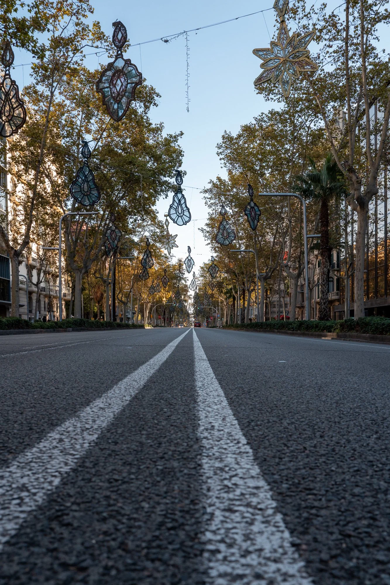 Rue déserte décorée avec des luminaires en forme d'étoiles suspendus entre les arbres.