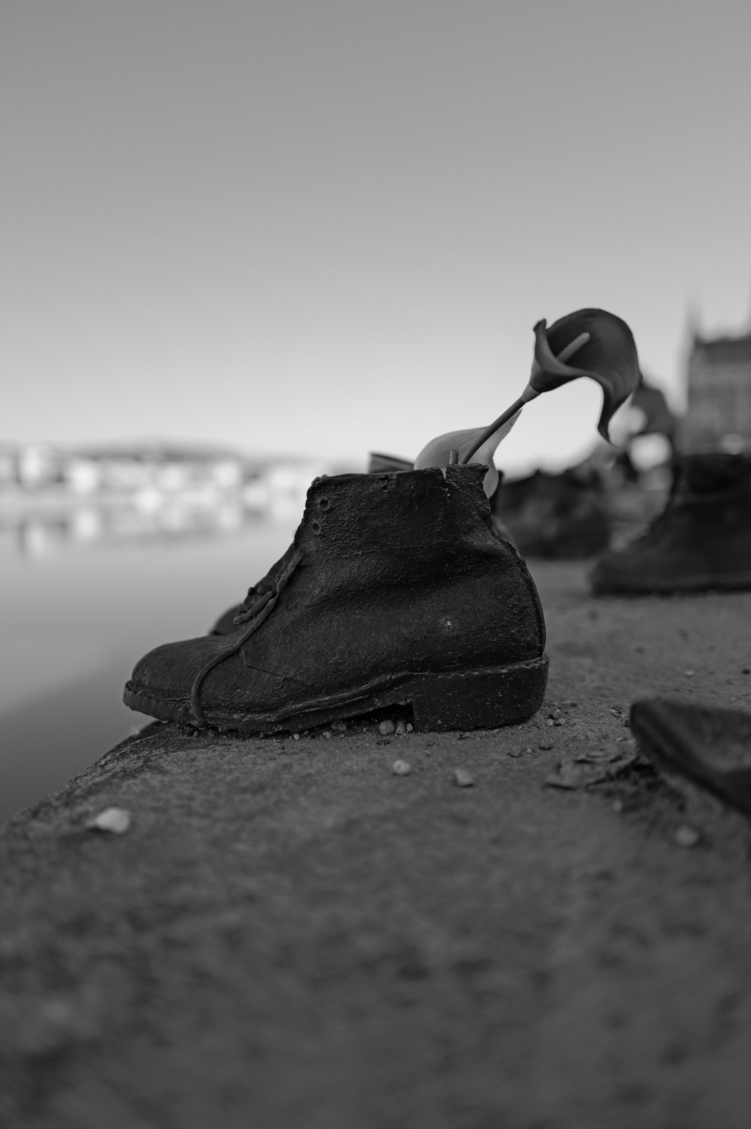 Chaussure usée abandonnée sur le rivage avec une rose posée dessus, en noir et blanc.