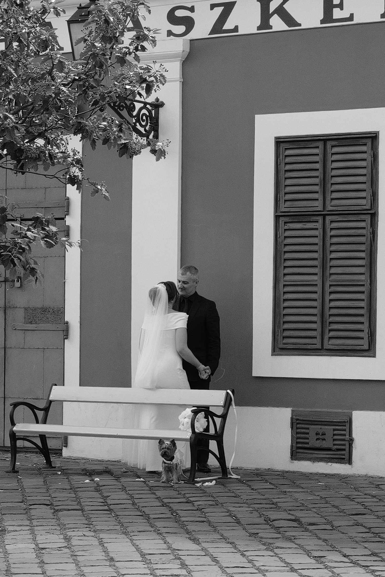 Un couple en mariage, une femme en robe de mariée blanche et un homme en costume noir, se tenant par la main et s'embrassant sur une place pavée devant un bâtiment avec des volets en bois, avec un chien petit assis devant une chaise en bois.