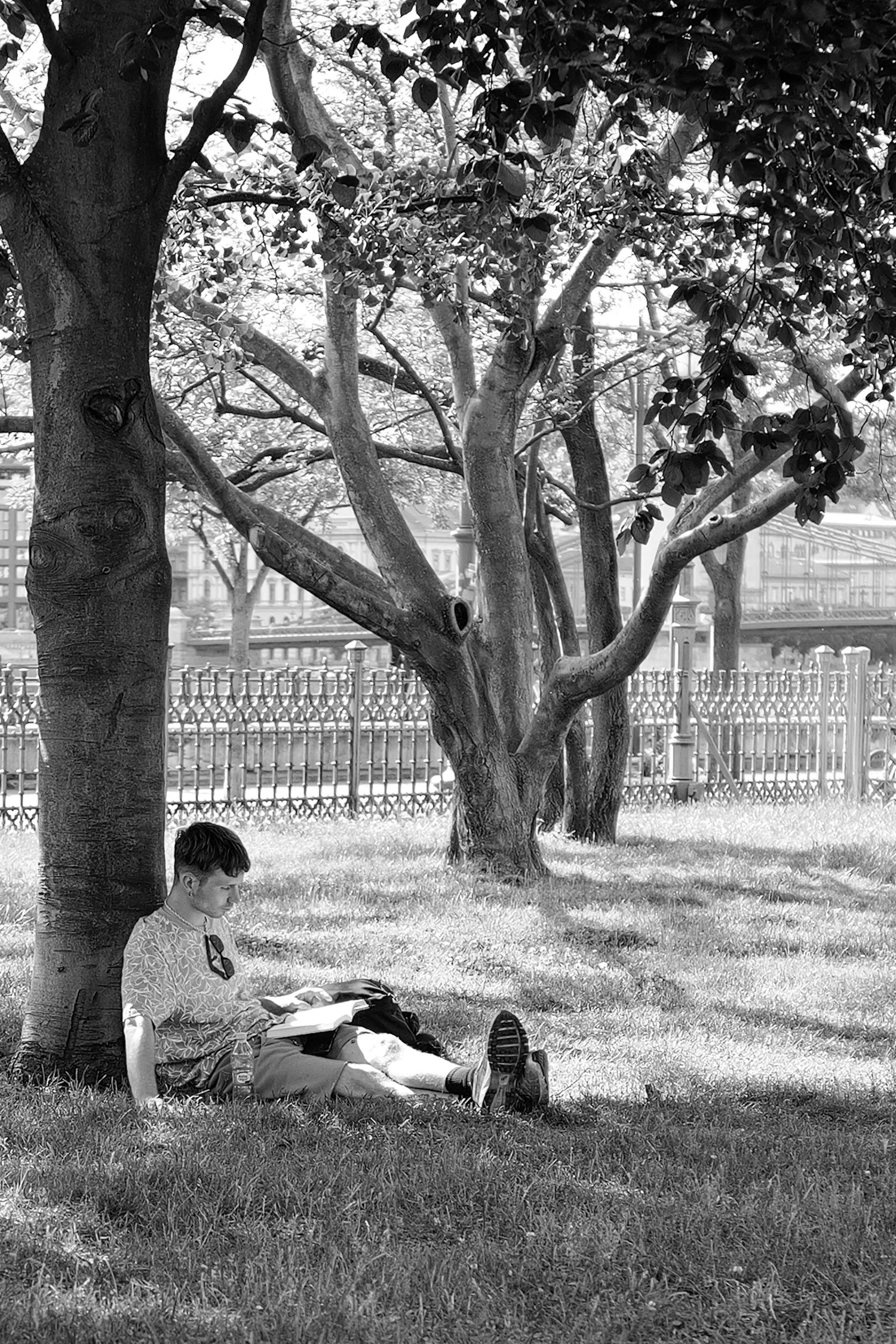 Un jeune homme assis contre un arbre dans un parc, lisant un livre, avec un sac et une bouteille d'eau à proximité.