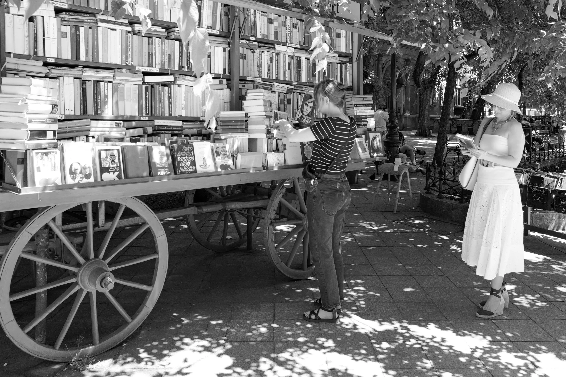 Deux femmes lisent des livres devant une biblio-mobile stationnée dans un parc ombragé sur une journée ensoleillée.