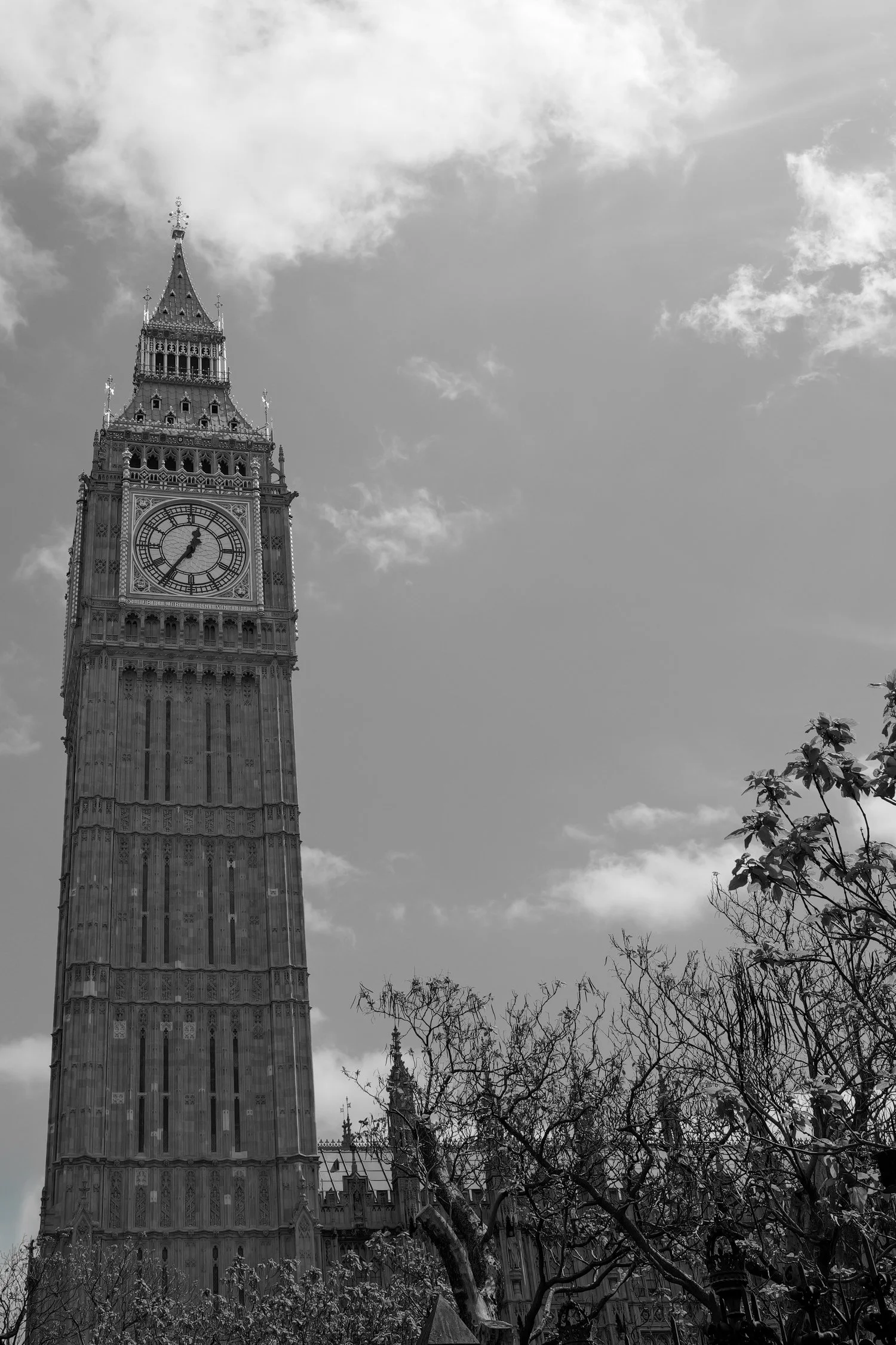 Le beffroy de l'horloge Big Ben à Londres, avec un ciel nuageux en arrière-plan, entouré d'arbres sans feuilles en premier plan.