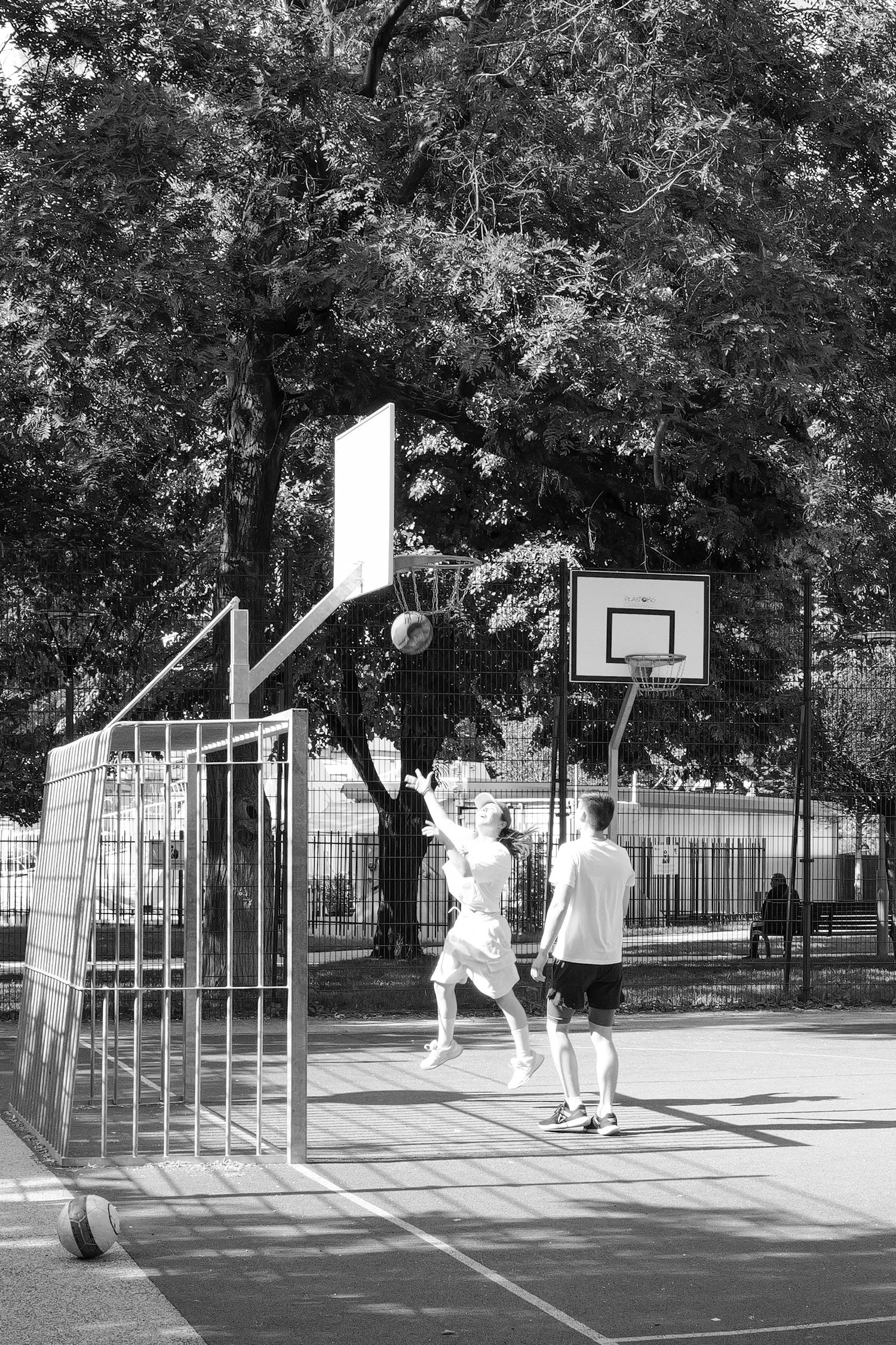 Des enfants jouent au basketball dans une cour extérieure, entourés d'une clôture et d'un grand arbre en arrière-plan.