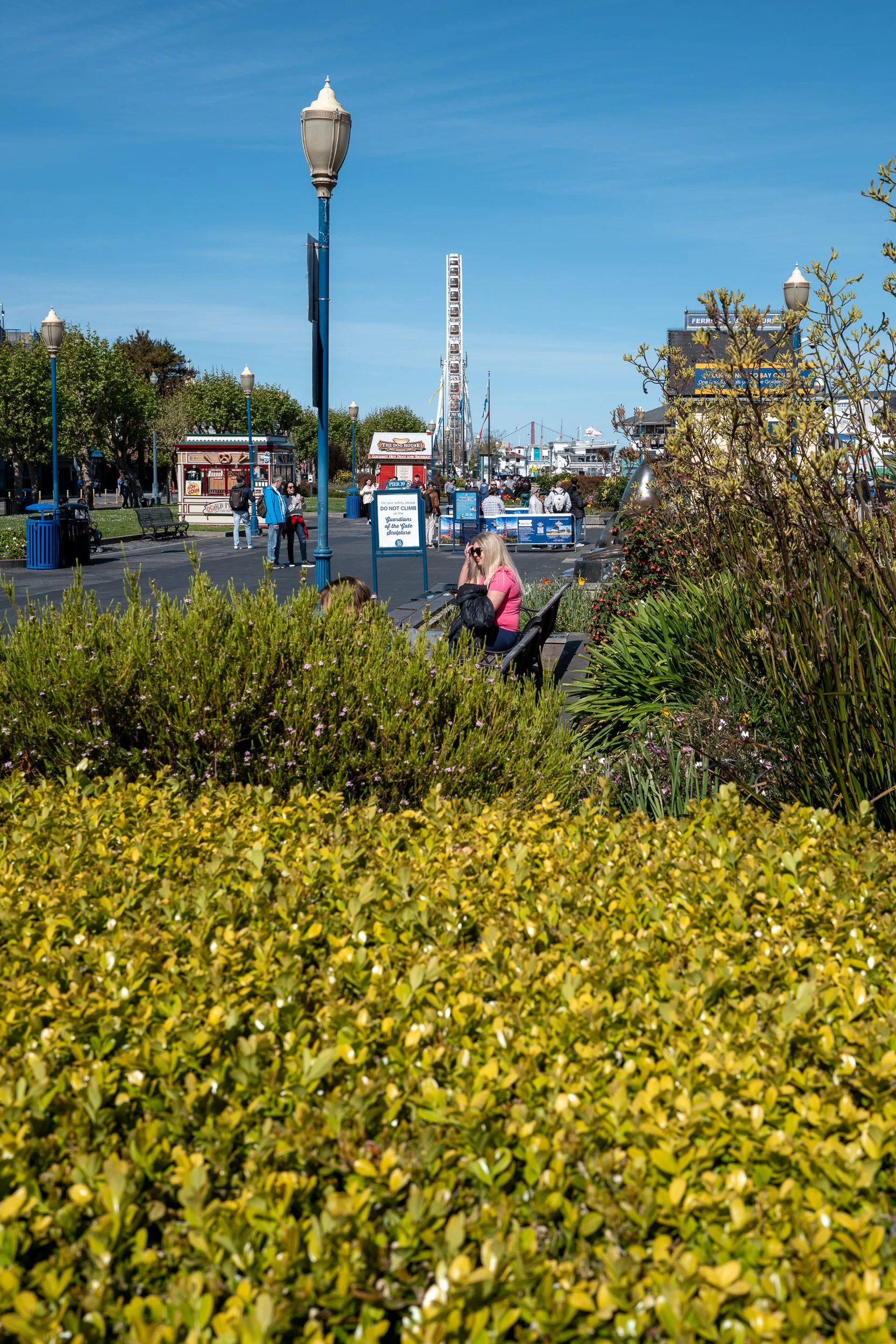 Une scène urbaine en bord de mer avec des gens assis sur des bancs, un grand roue, et des attractions dans le fond, sous un ciel clair.