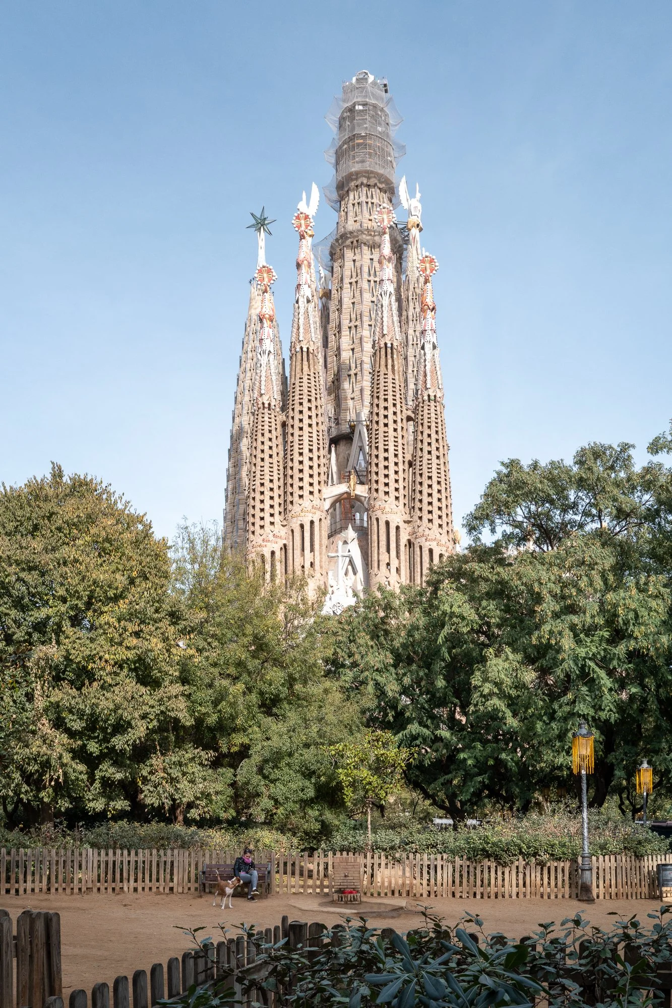 La basilique La Sagrada Familia vue de loin avec des arbres au premier plan, un banc et une personne avec un chien dans un parc.