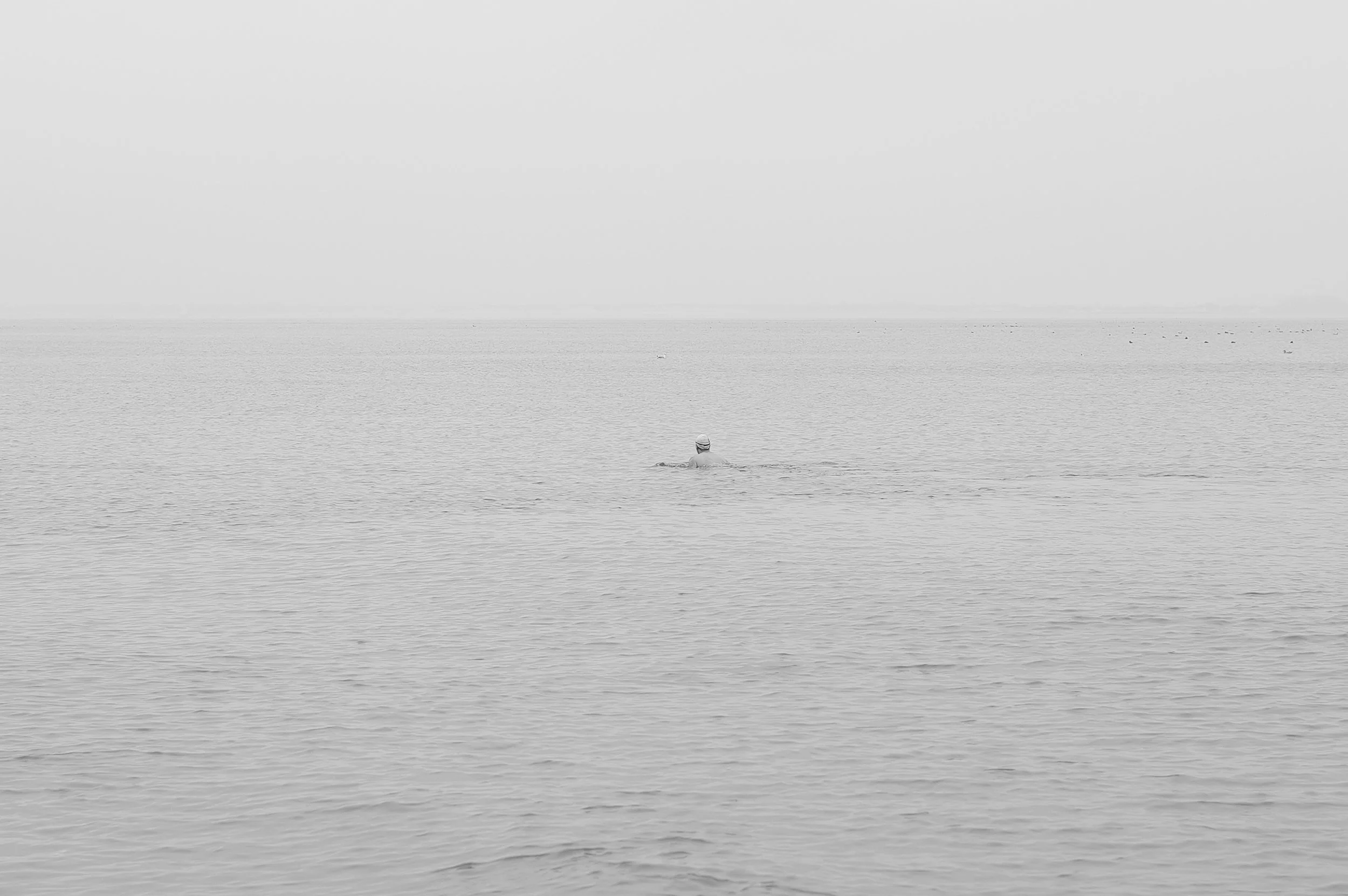 Une personne nage dans une mer calme avec un horizon visible, la scène en noir et blanc.