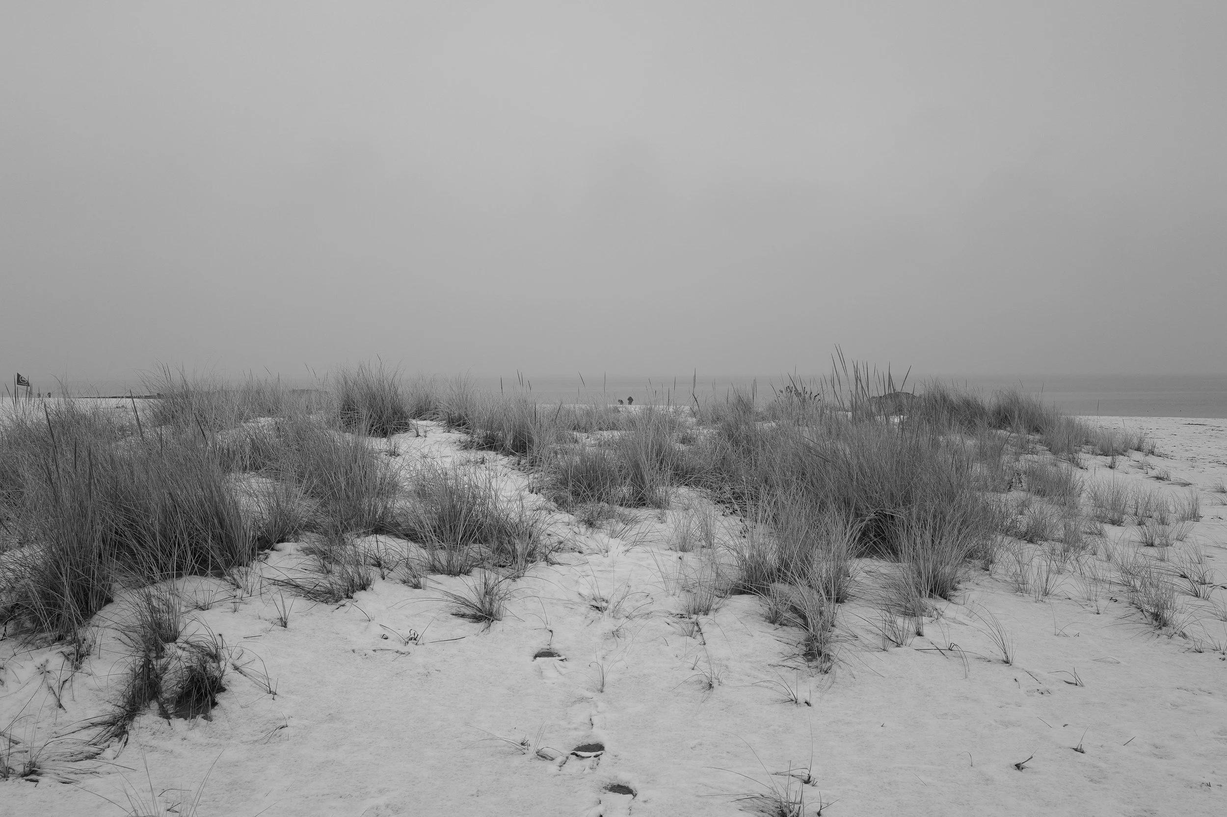 Plage avec dunes et herbes hautes, ciel nuageux, en noir et blanc.