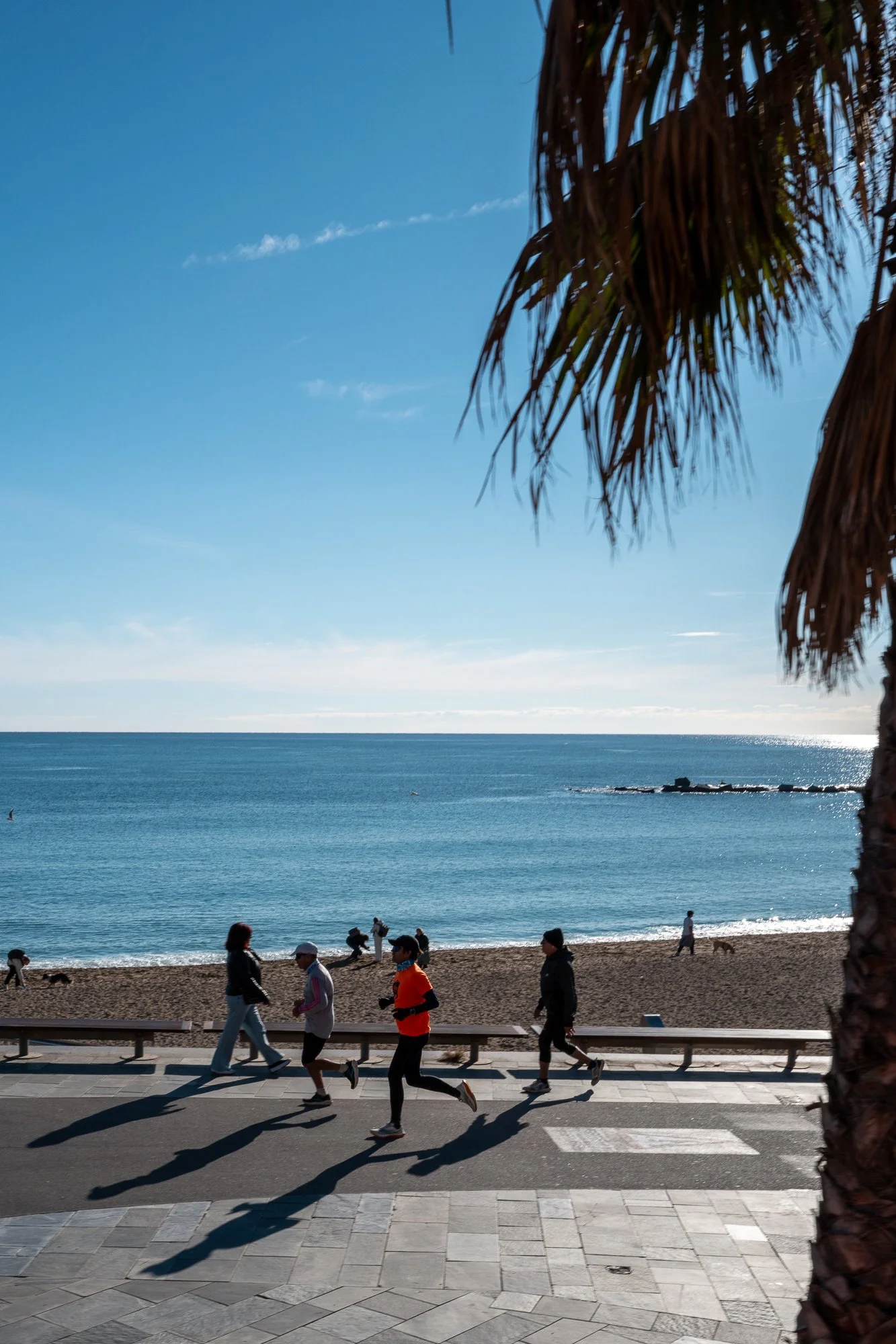 Une plage ensoleillée avec des personnes qui font du jogging ou marchent, vue sur la mer calme, en arrière-plan un ciel bleu clair et un palmier.
