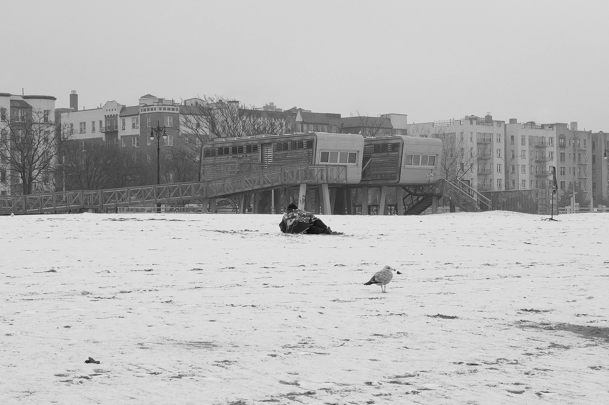 Un homme assis dans la neige avec un sac à dos, un oiseau sur le sol, un bâtiment moderne en arrière-plan, et un ciel gris
