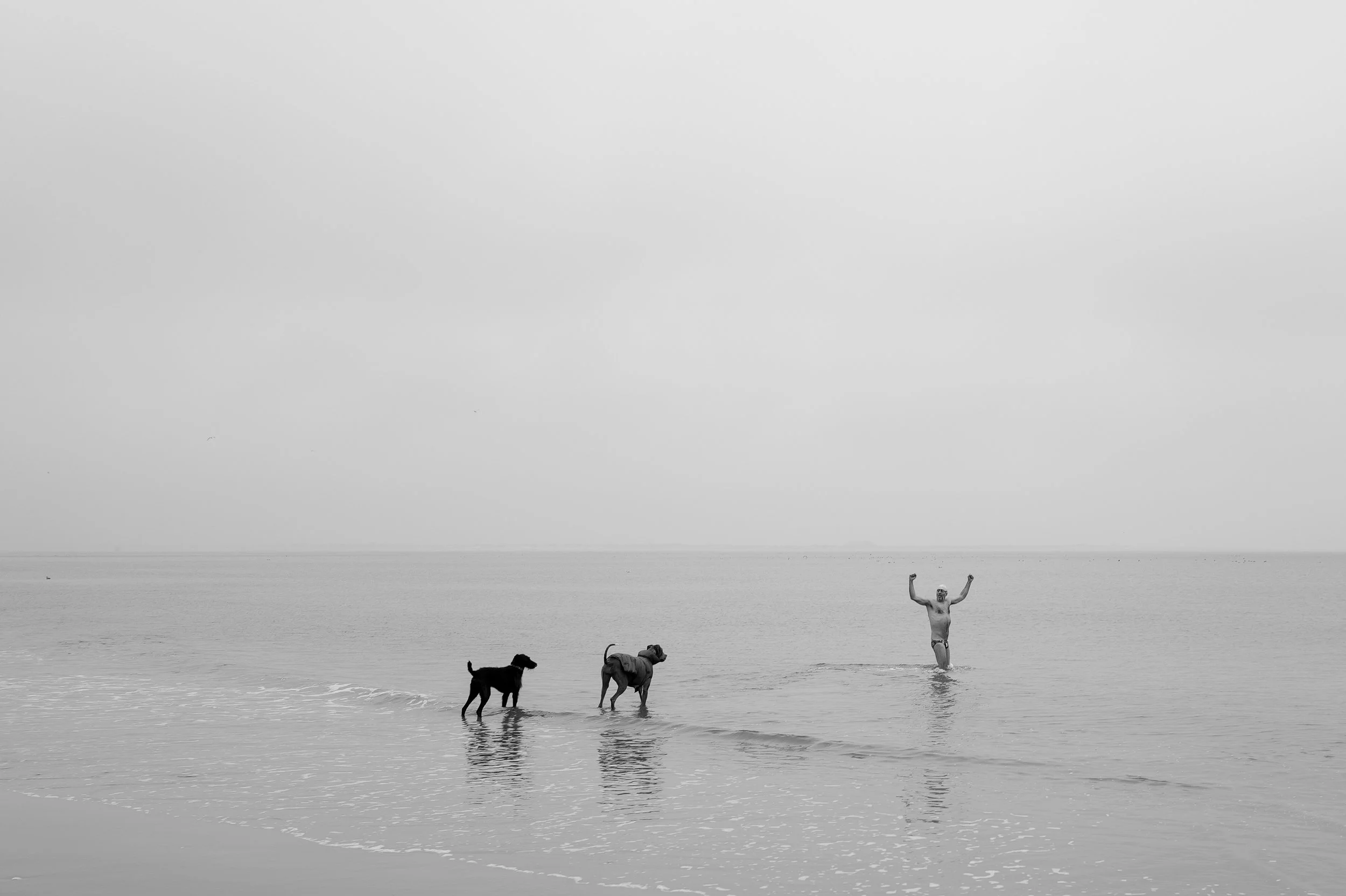 Une personne en maillot de bain se tient dans la mer avec les bras levés, accompagnée de deux chiens dans l'eau, dans un paysage marin calme et brumeux.