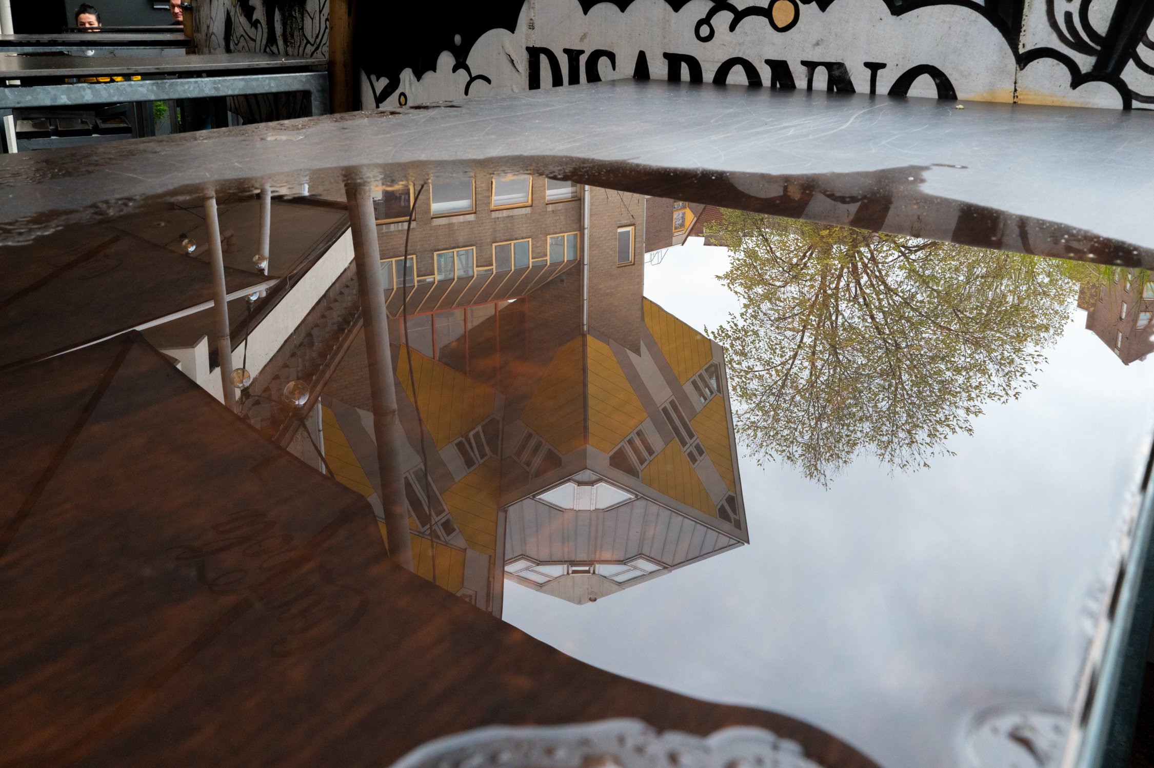 Reflet d’un bâtiment avec fenêtres et un arbre dans une flaque d’eau sur un sol en pierre, vue inversée