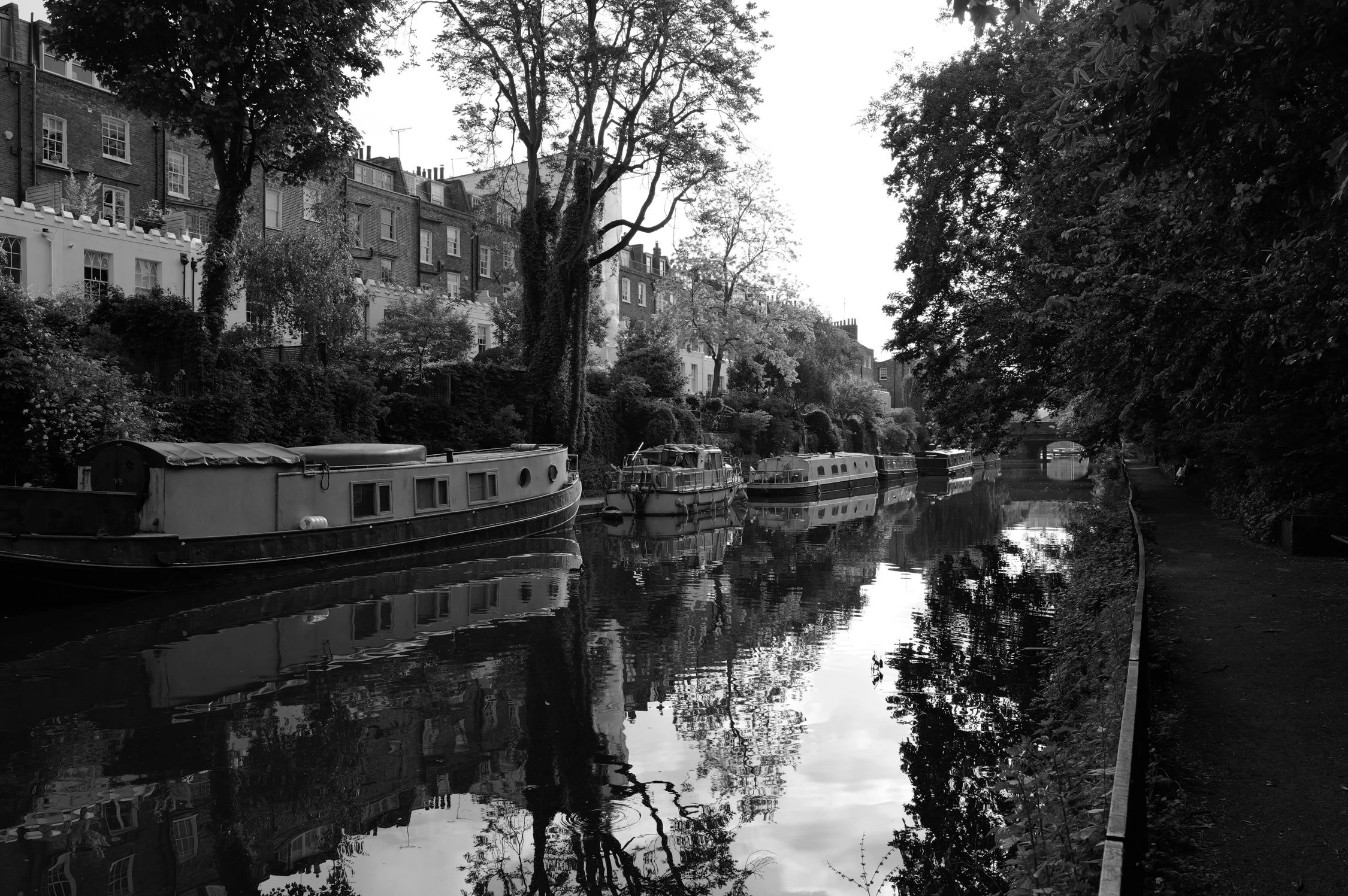 Des bateaux amarrés le long d'une rivière bordée d'immeubles résidentiels et d'arbres.