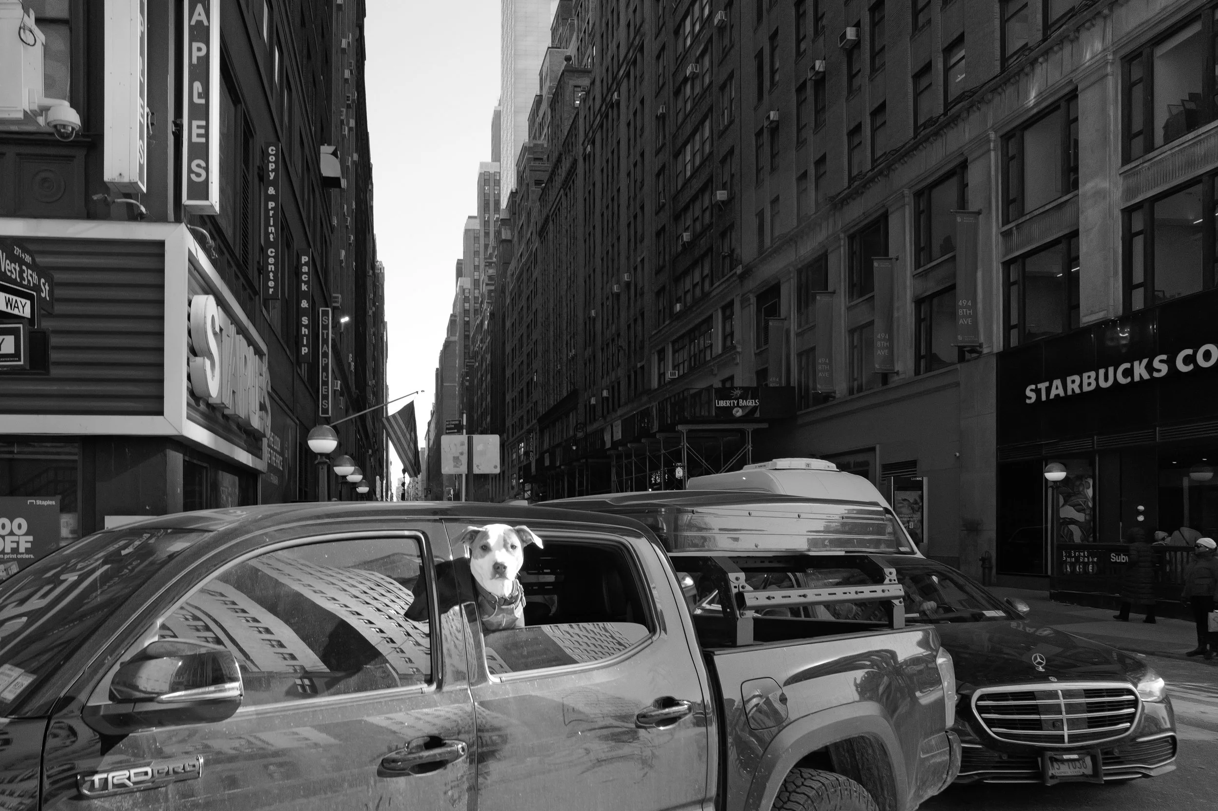 Un chien dans la cabine d'un camion stationné dans une rue de la ville