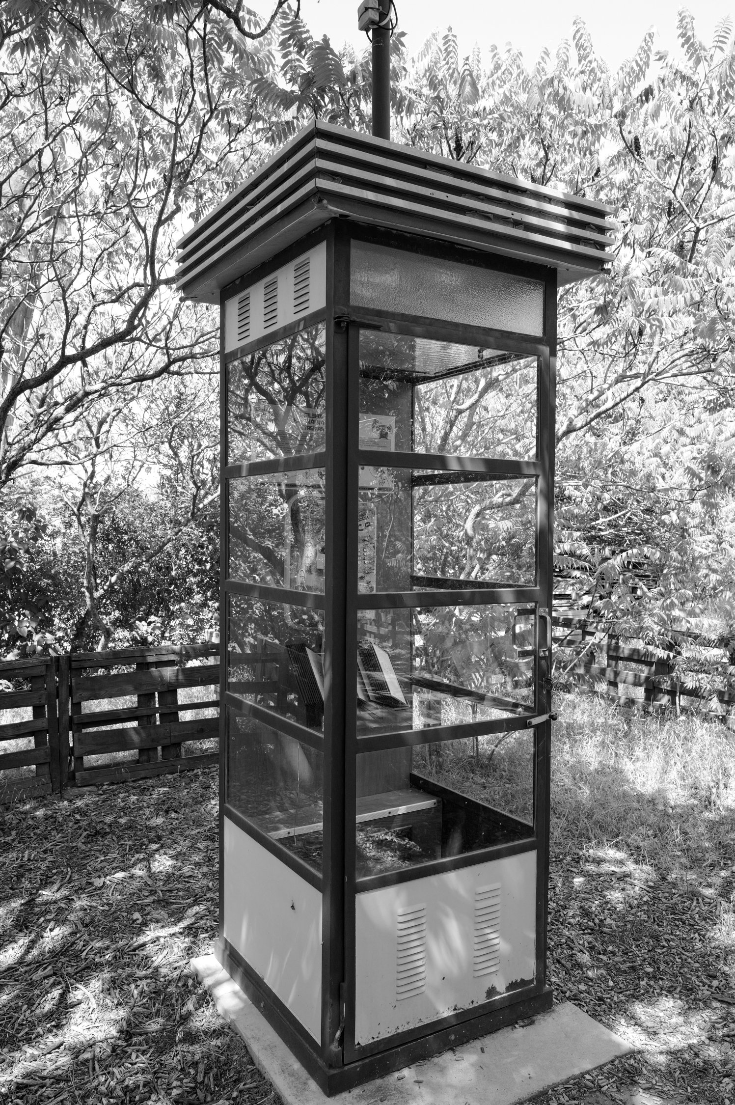 Une cabine téléphonique en métal avec des murs en verre, située dans un environnement naturel avec des arbres en arrière-plan et un sol recouvert de feuilles.