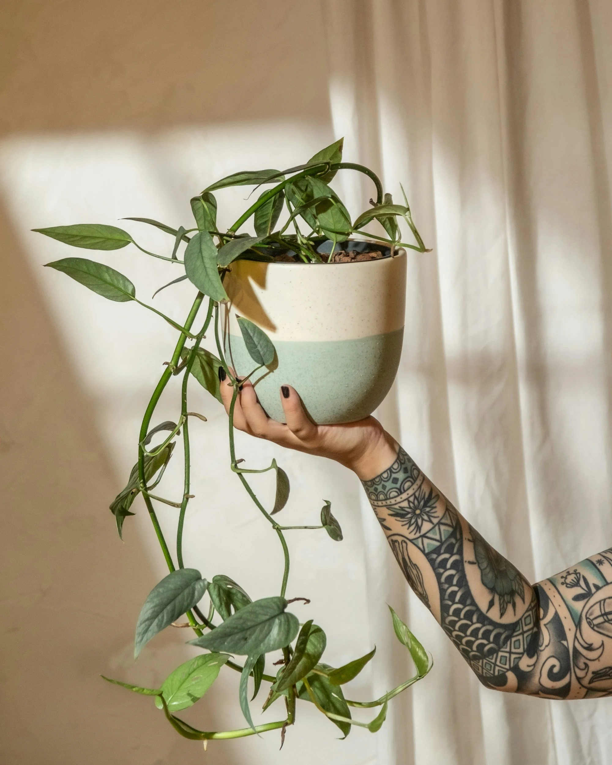 La naturopathie, ça marche vraiment ? Ce que j'observe en consultation