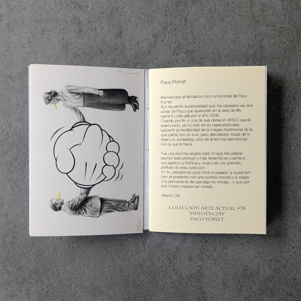 Colección de Arte Actual #78 Inside I