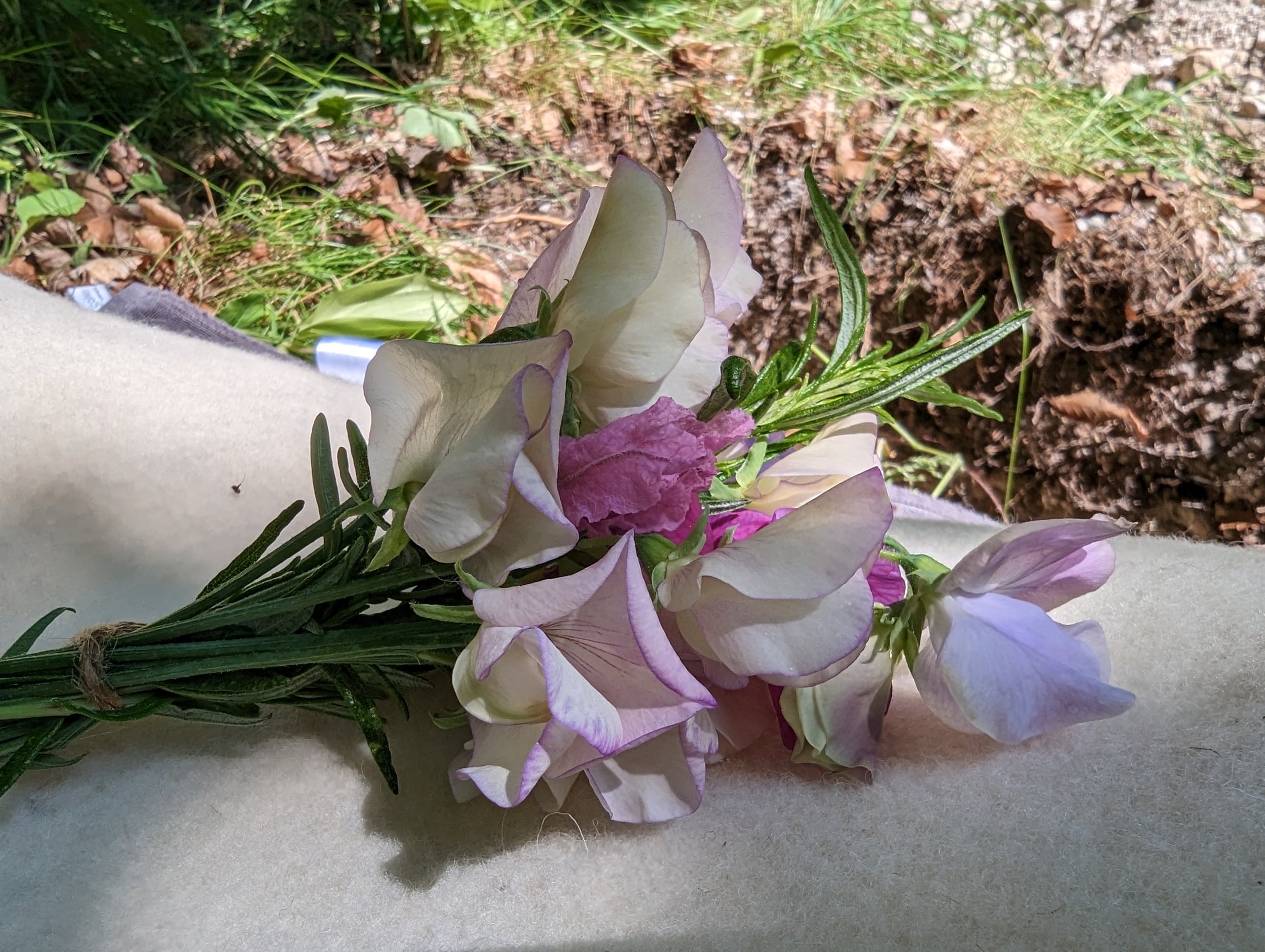 Swans wing burial with flowers.jpg