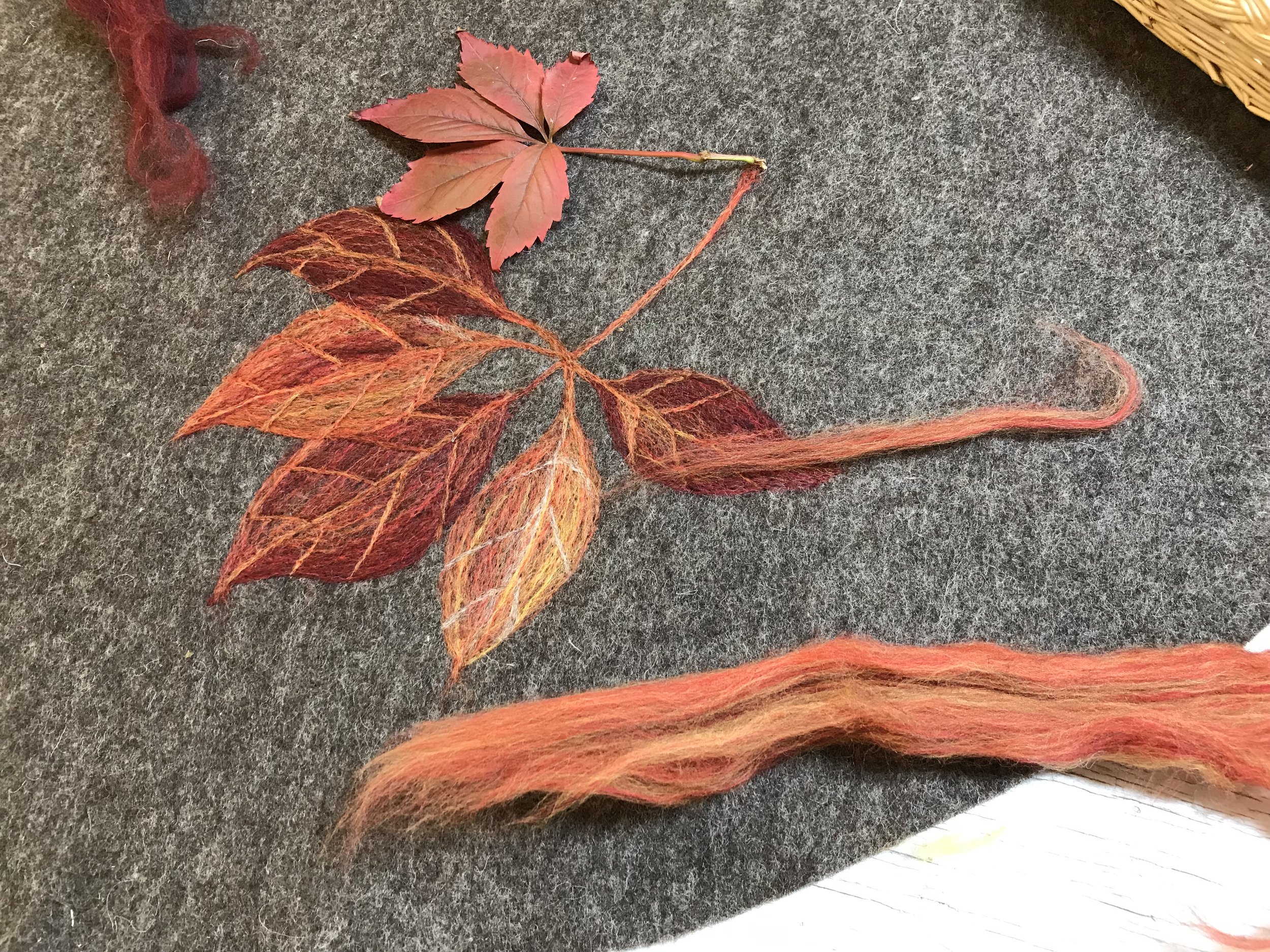 Autumn leaves on dark cover.jpg
