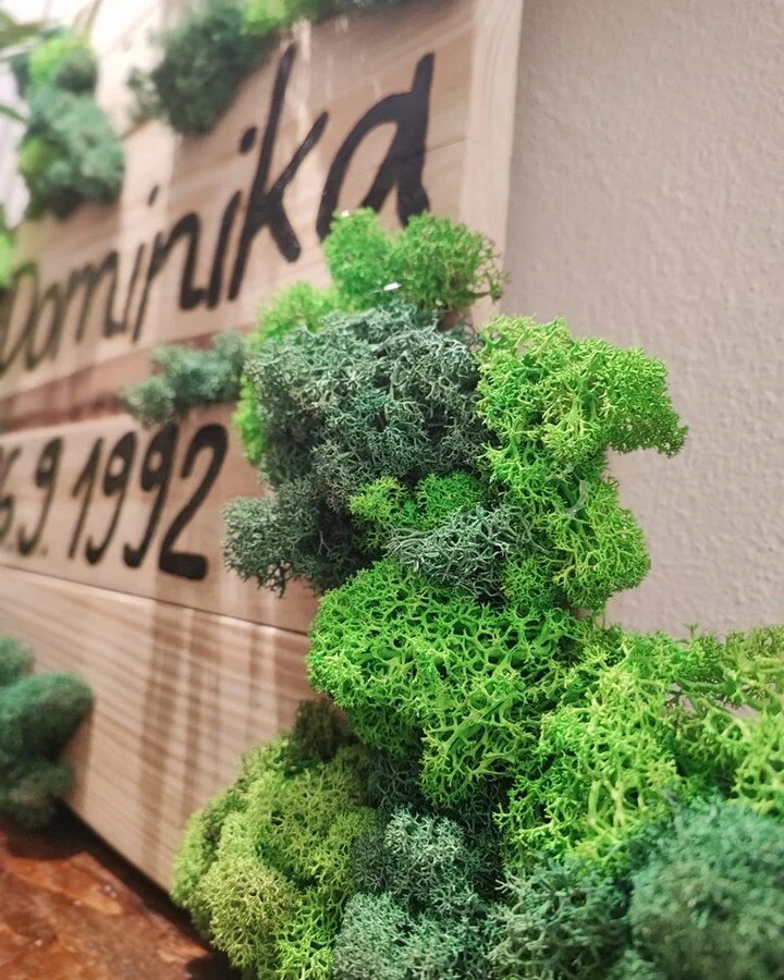 Kto neslucha oca, matku, ten spadne do &uacute;padku a Dominika dne&scaron;ka oslavuje tricatku.

Narodeninov&yacute; deň sme rozjasnili machovou tabuľou vo verzii "stojan na kvet". 

Osl&aacute;venkyni prajeme v&scaron;etko najlep&scaron;i