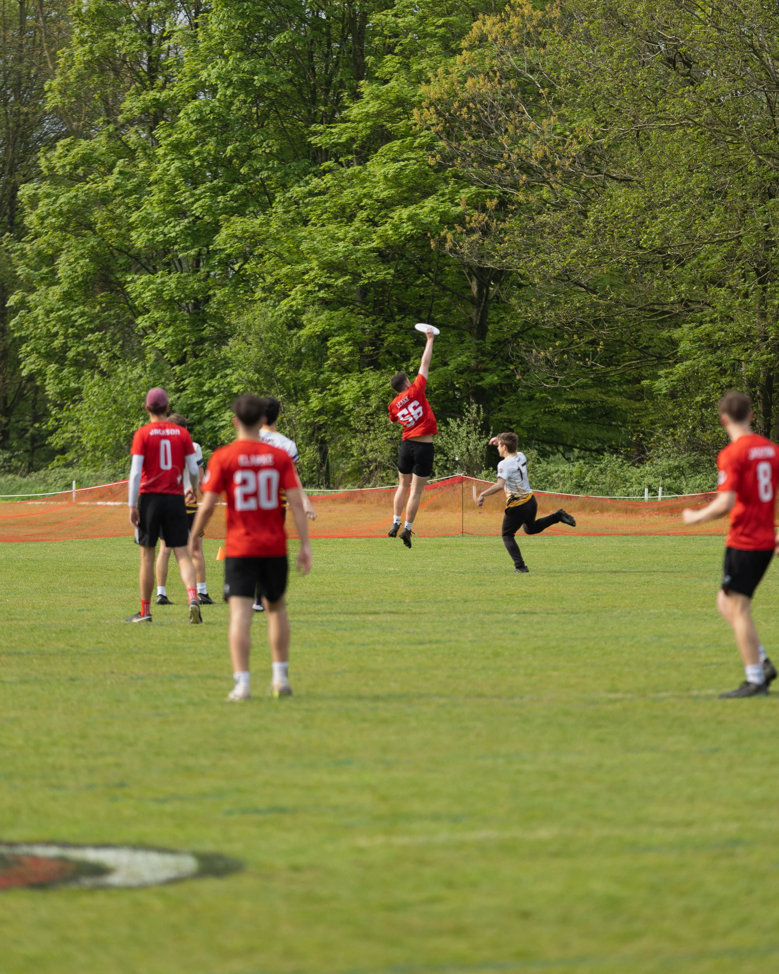 Ultimate Frisbee Men's Outdoors 2.jpg