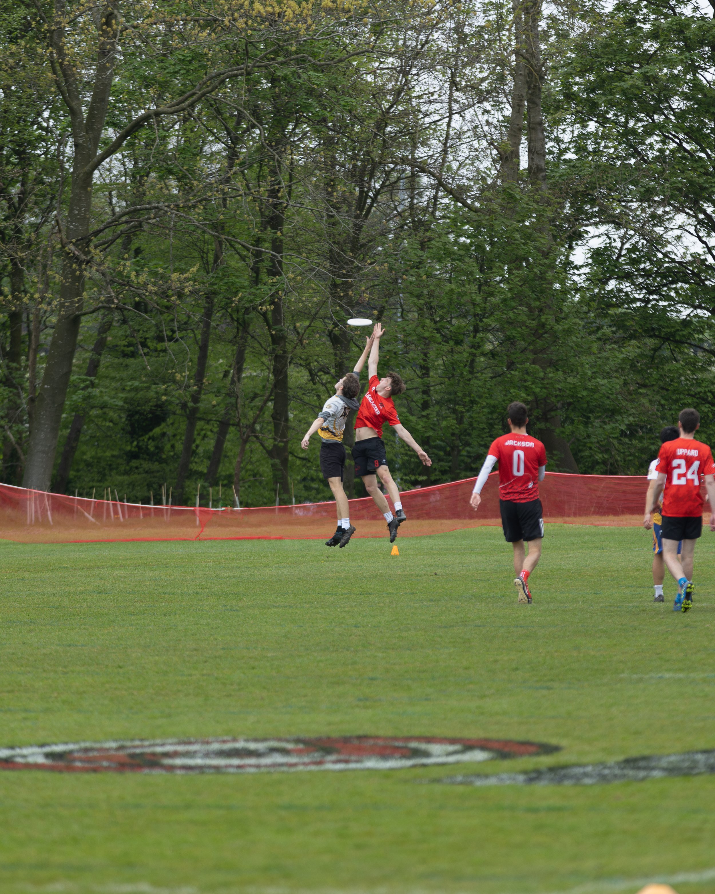 Ultimate Frisbee Men's Outdoors 5.jpg