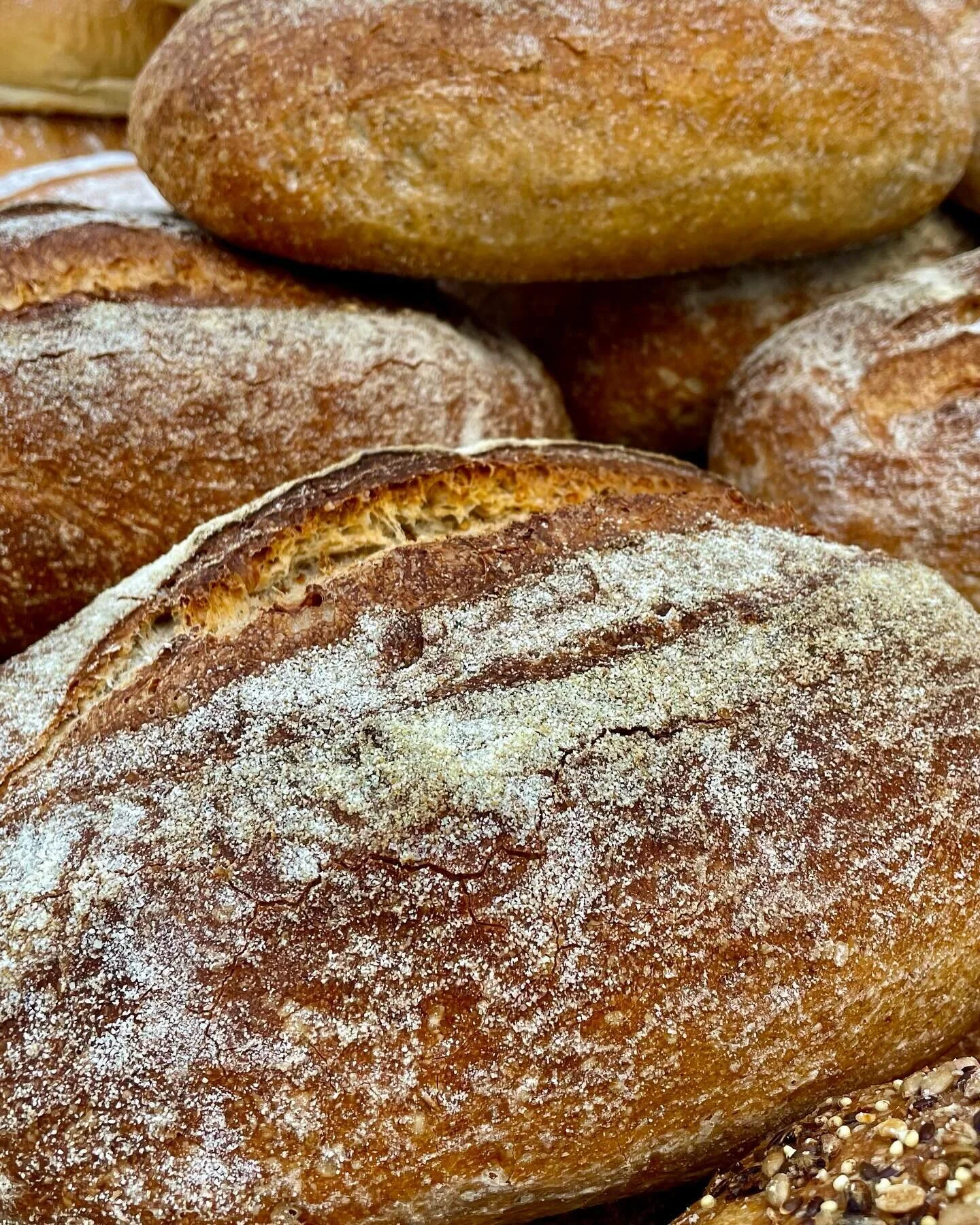 The Bread Maker