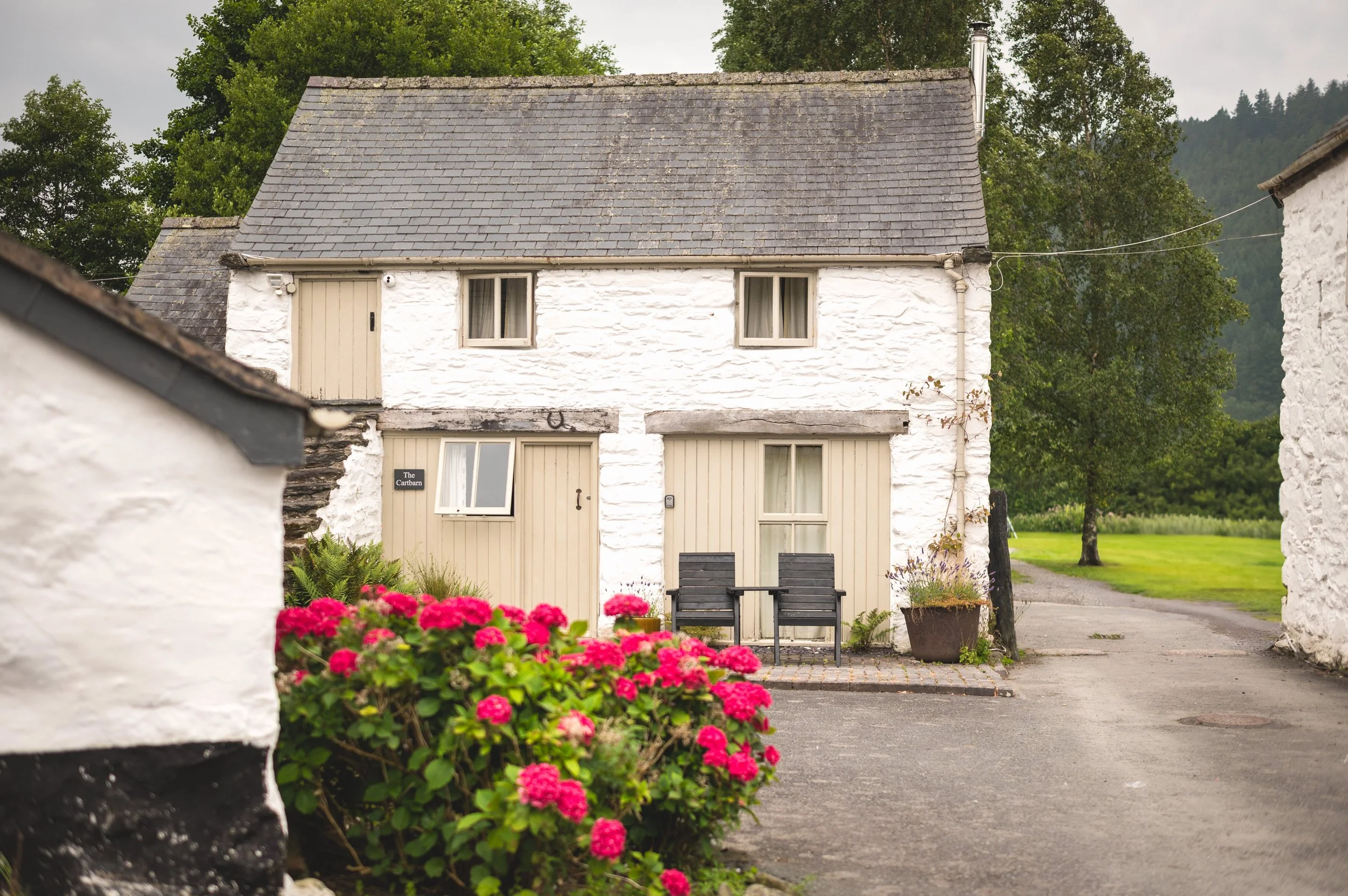 hafod farm wedding photographer venue