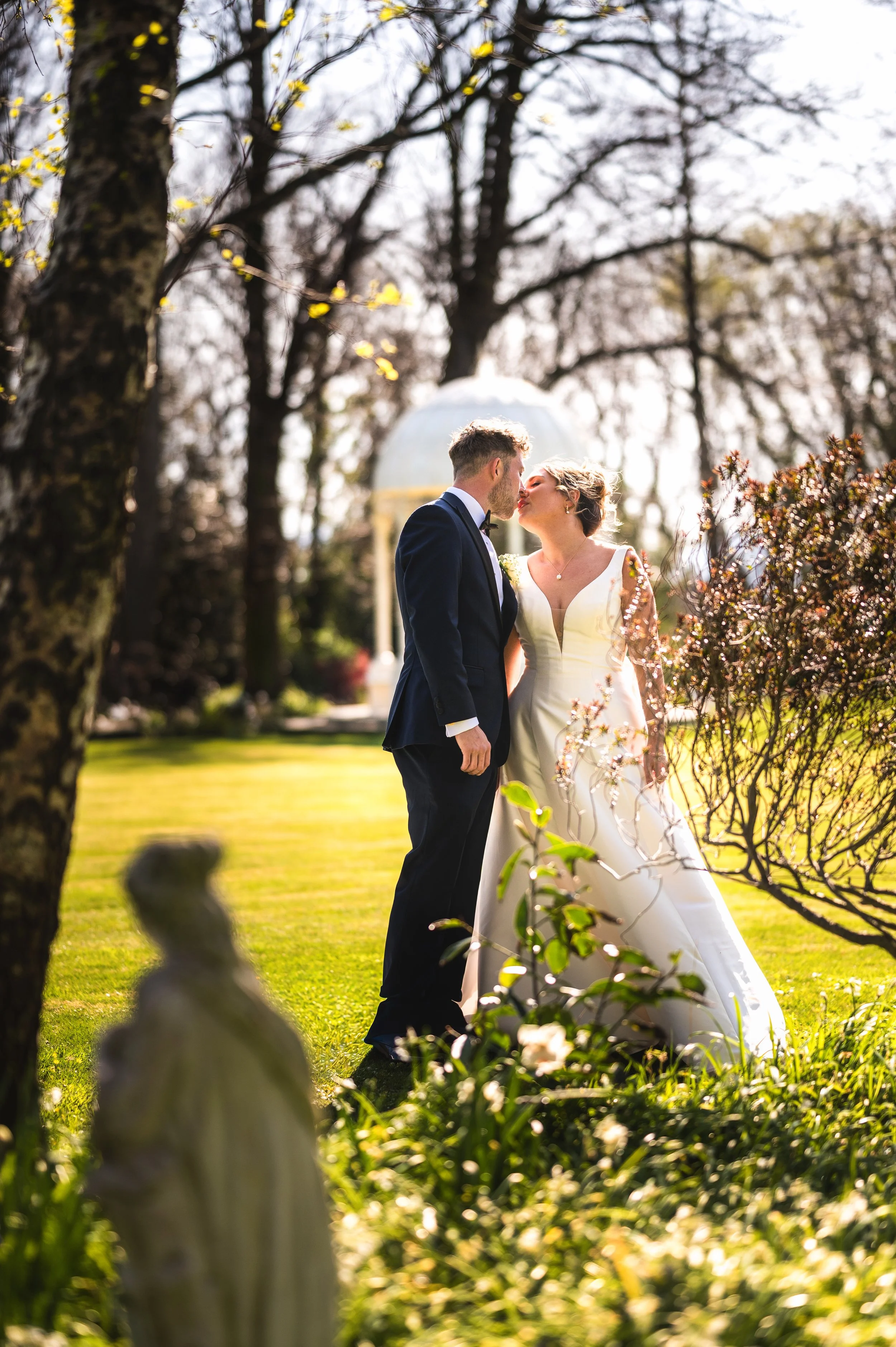 plas dinas wedding photographer