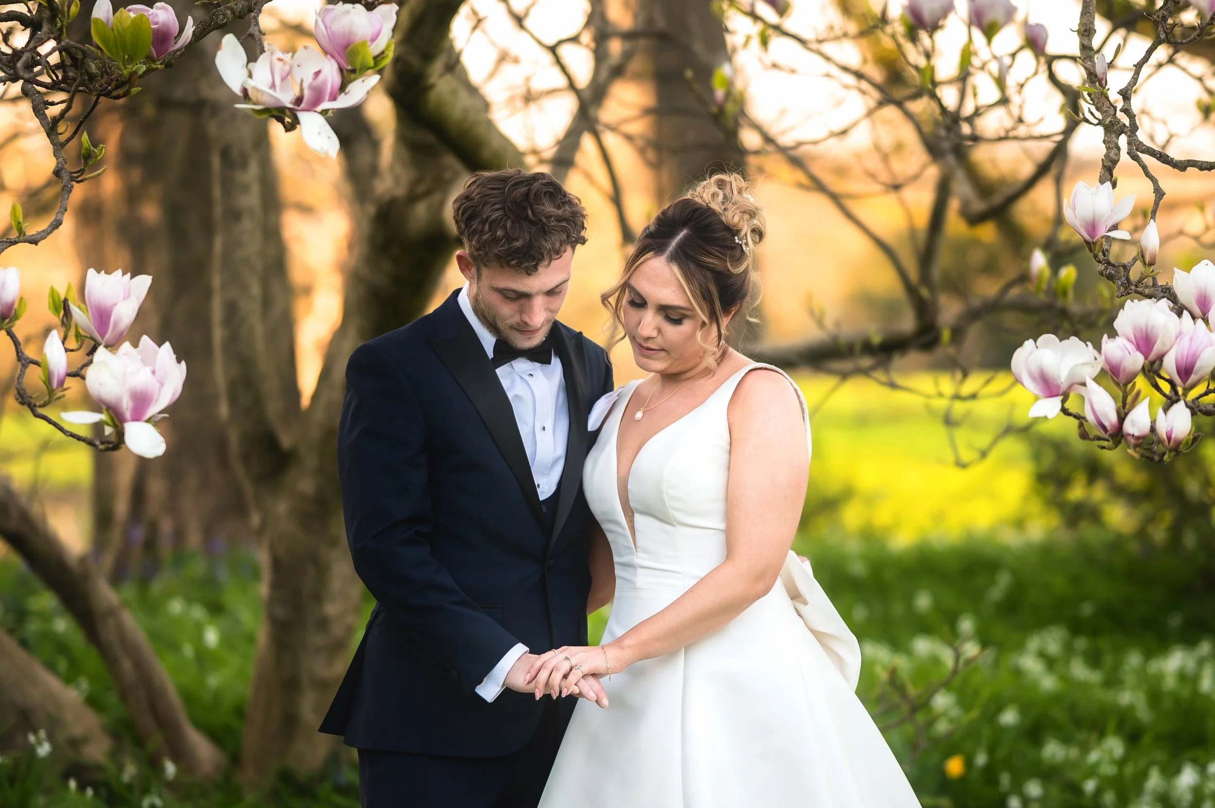 plas dinas wedding photographer