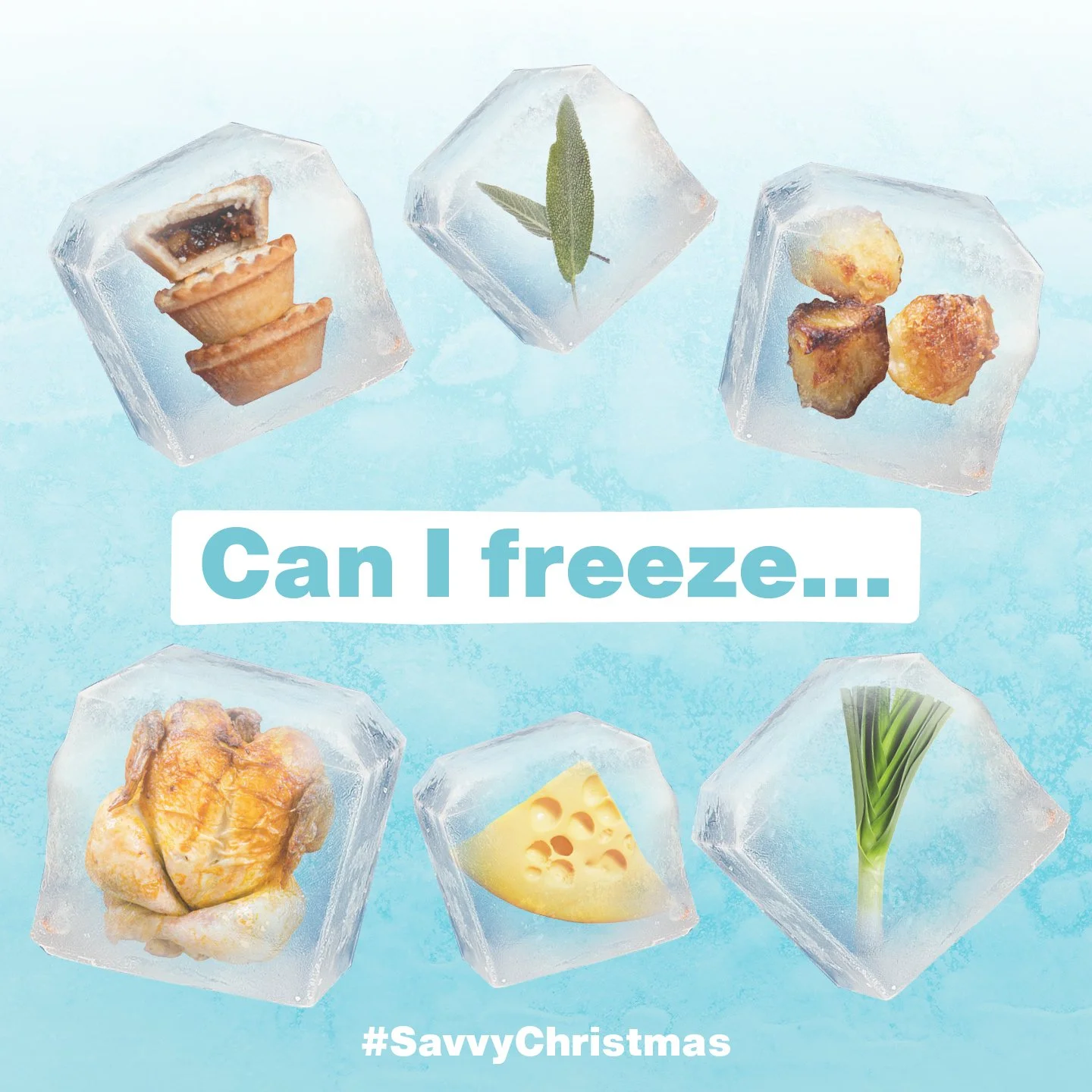 Festive Freeze — Food Savvy