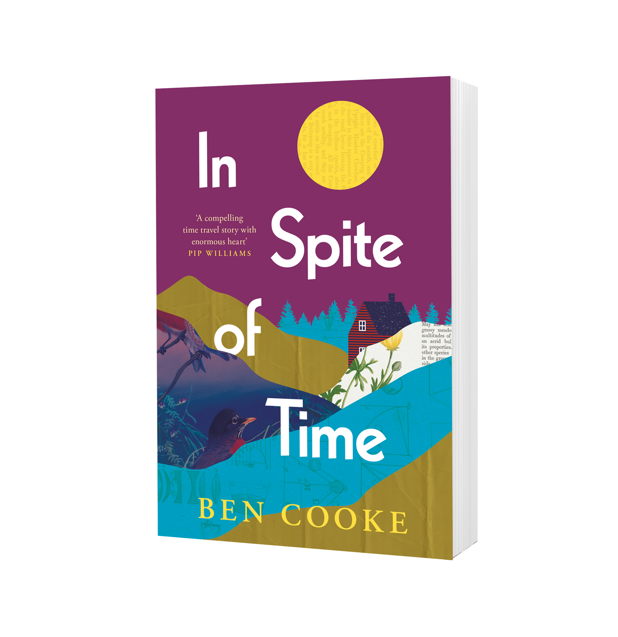 In Spite of Time