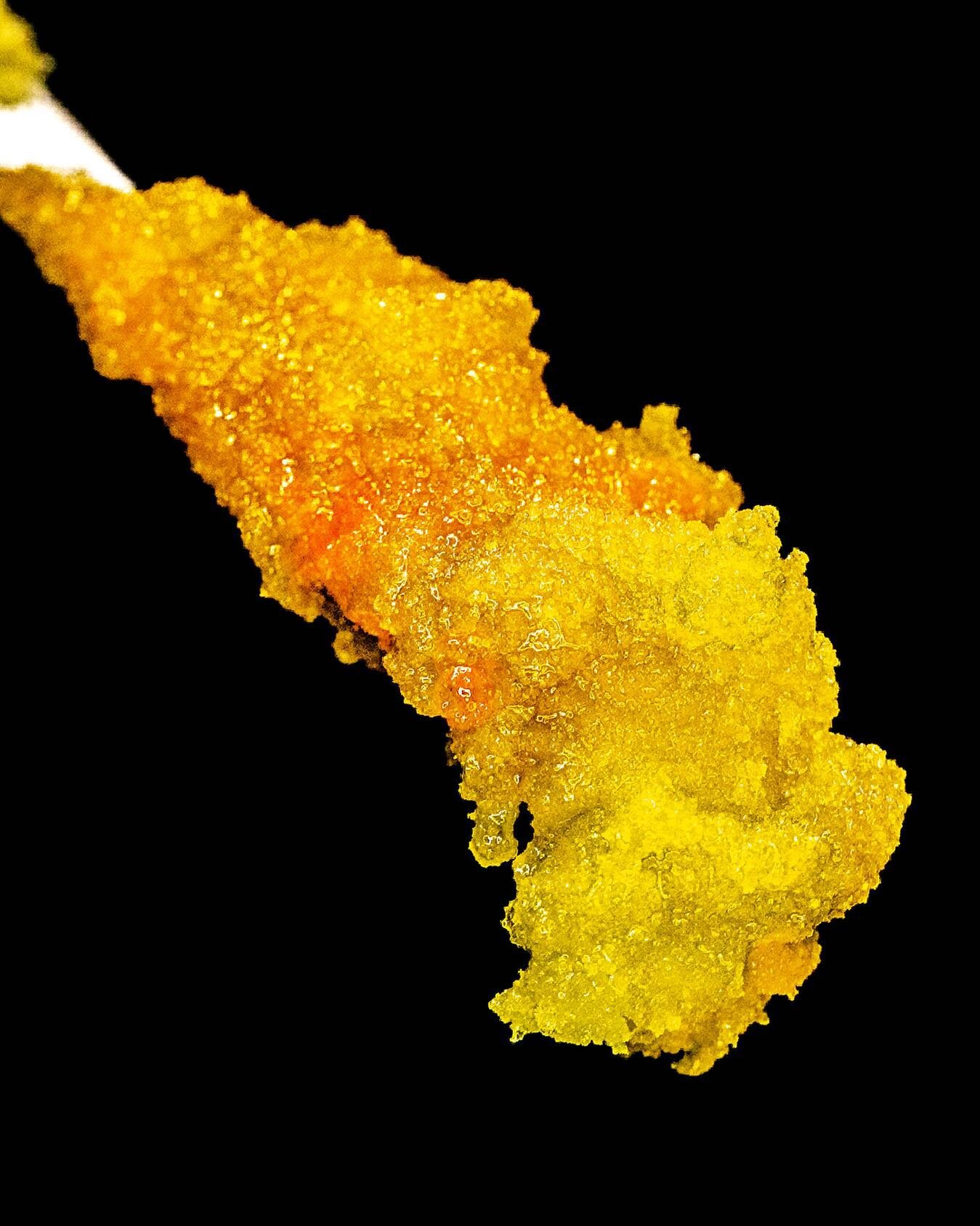 &quot;There is no alchemy without gold.&quot; - Albert Einstein 🧠

Product: Lemon Bean T1 Cured Resin Applesauce 

NOTHING IS FOR SALE, 21+

#GoldsmithExtracts #CuredResinExtract #AZMMJ
#CannabisConcentrates #CannabisExtracts #BHO