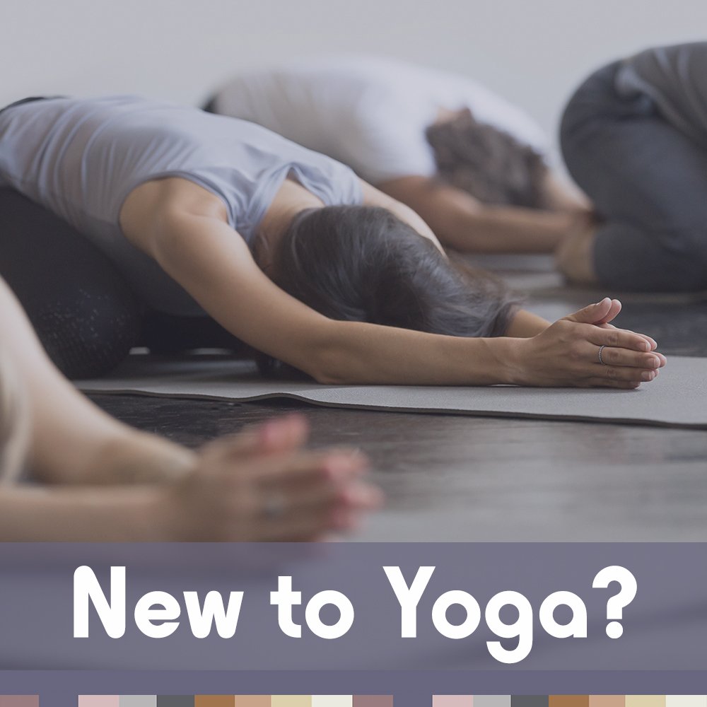 Feel Free Yoga and Wellness: New to Yoga