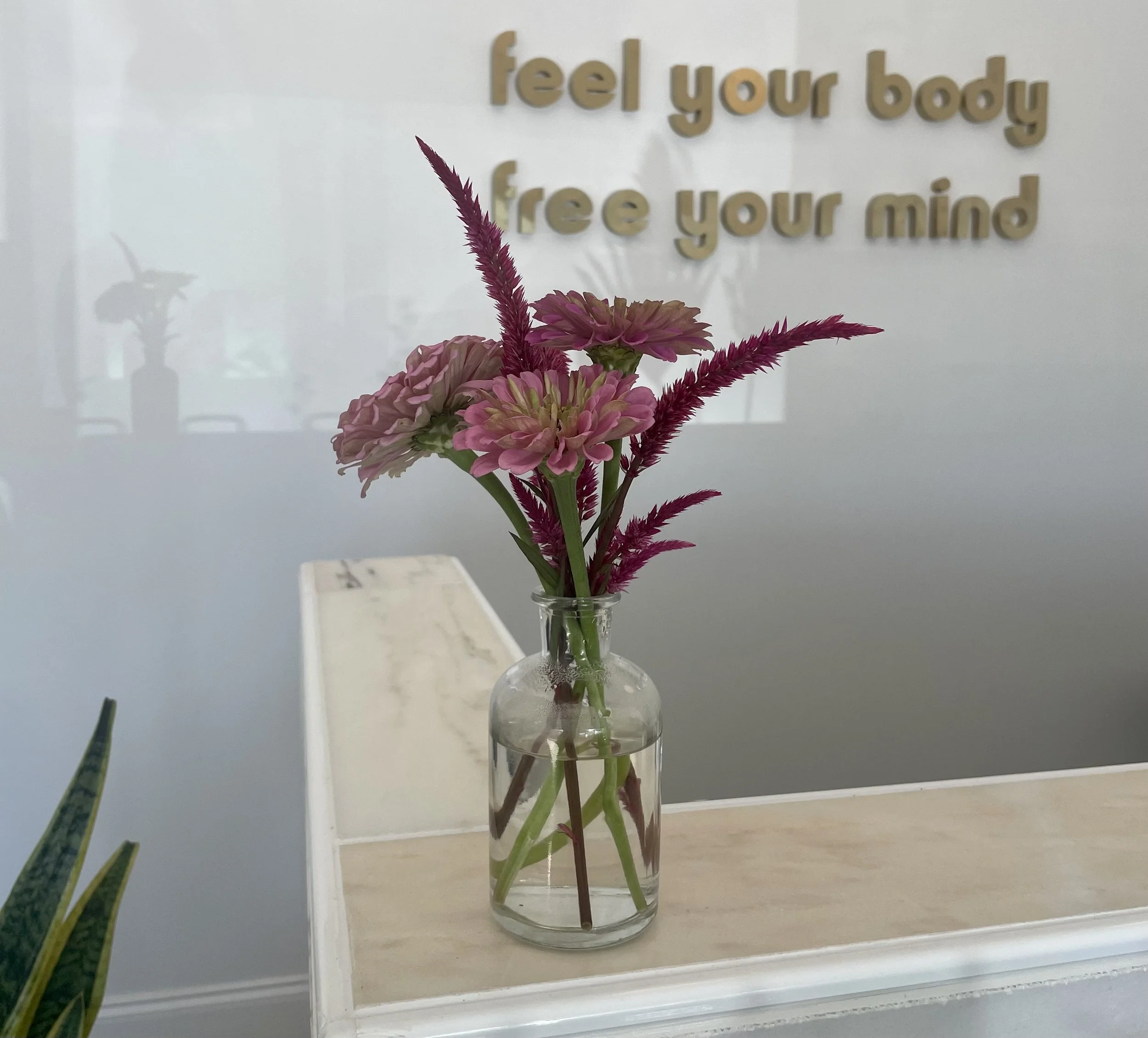 YOGA FOR YOUR PELVIC FLOOR (+MORE)     3.1 3.8 3.15