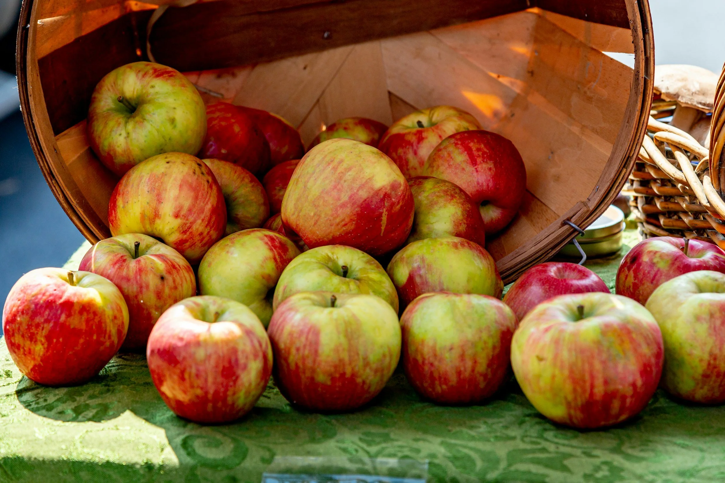 A basket of red and yellow apples with some apples spilled outside the basket on a green surface.