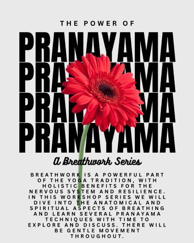 THE POWER OF PRANAYAMA: A breathwork Series