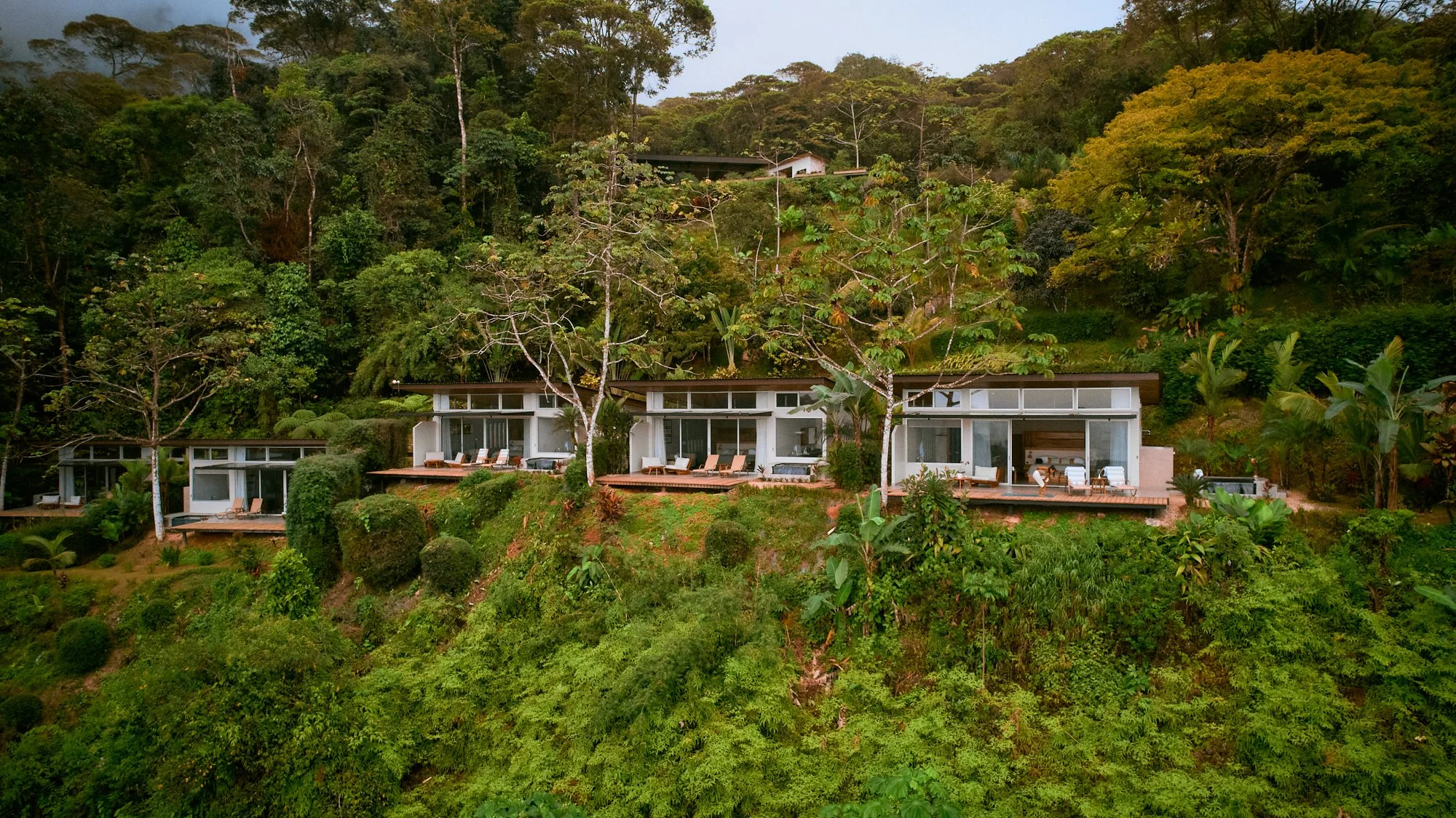 Photo Dec 17 2022, 2 53 24 PM.jpg