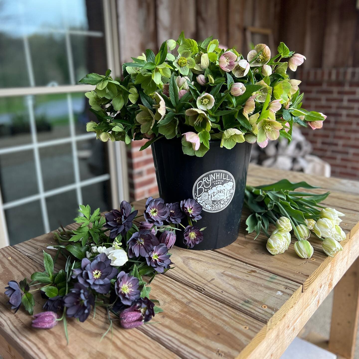 Tulips, hellebores, and fritillaria, oh my! Our latest Spring bounty deserves a permanent spot on the feed ✨🌷