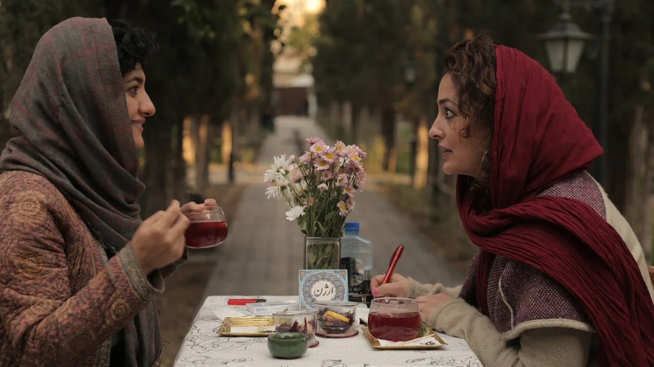 Finding Farideh  (2018)
