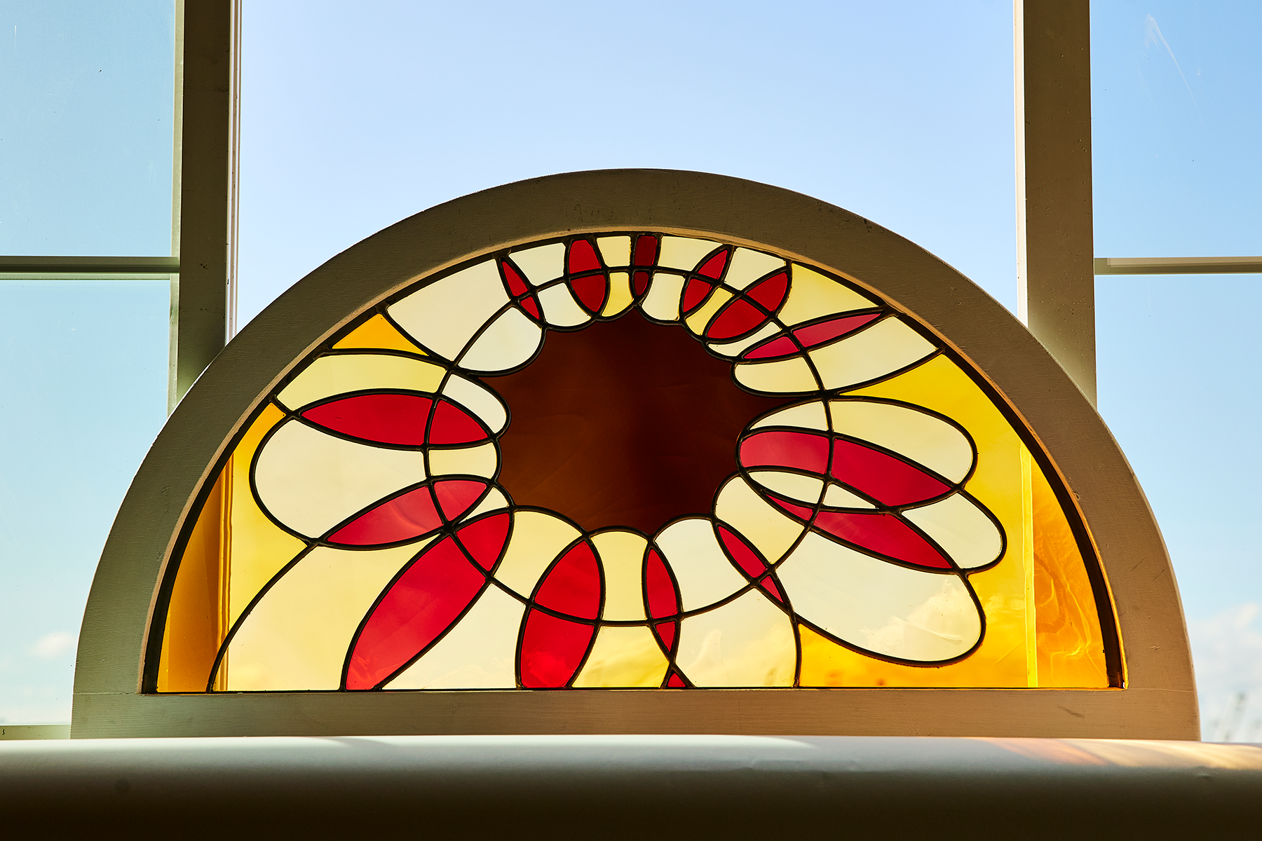 black-eyed susan : 2022