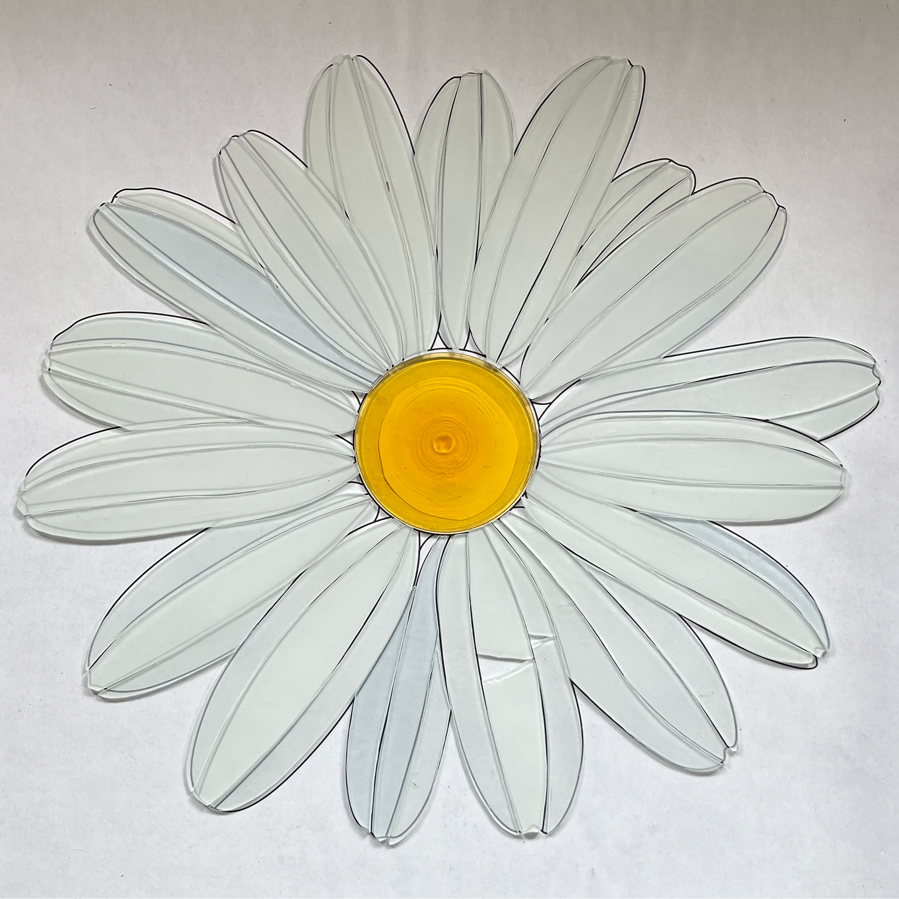 gerbera