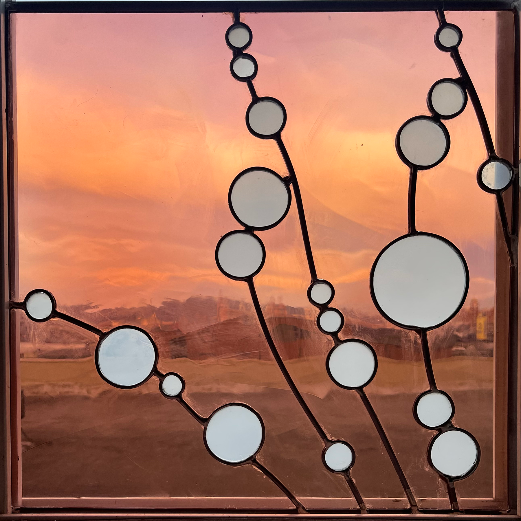 pussy willows : v2