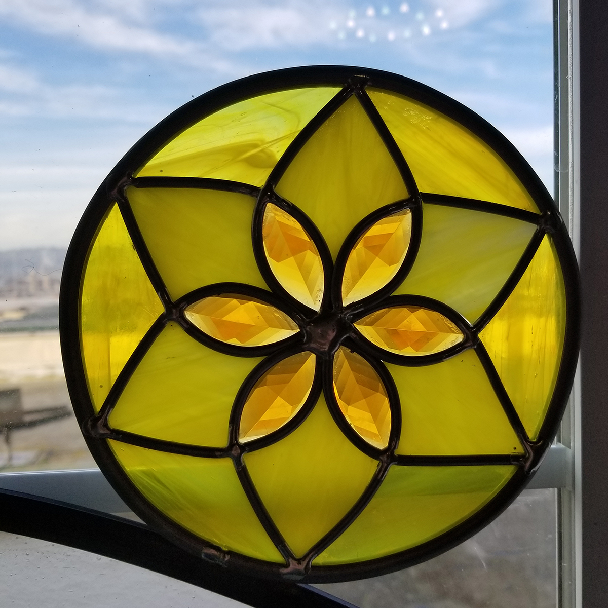 daffodil : 2019