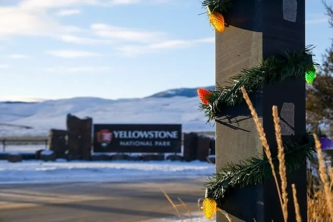 Best Things to Do in Yellowstone at Christmas